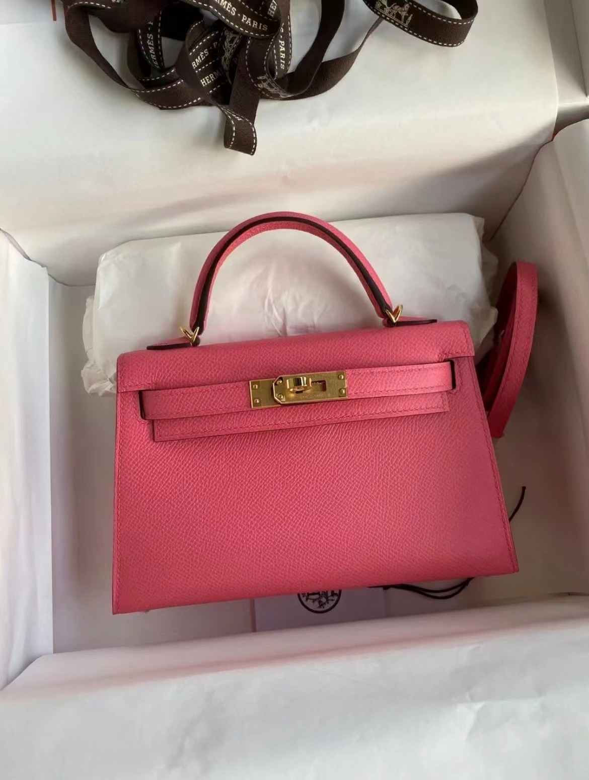 Hermes Kelly2 Mini 19