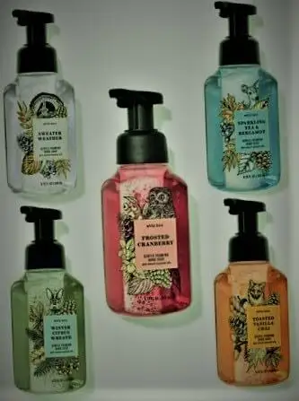 Bath and Body Works Foaming Hand Soaps - Set of 5 Gentle Foaming Soaps (Chilly Day Essentials)