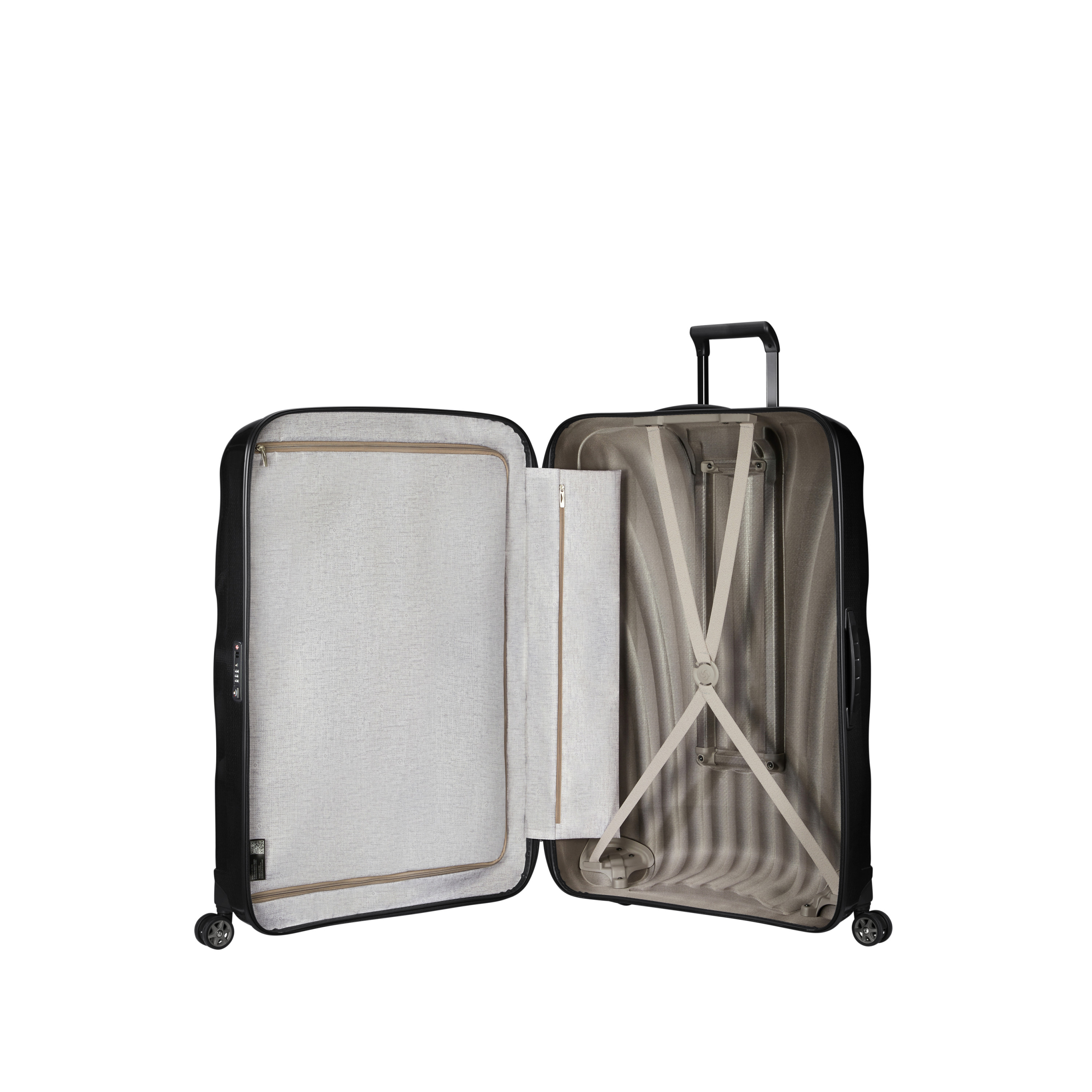 C-Lite Large Spinner
