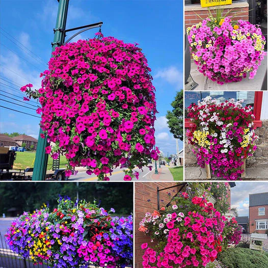 🔥Last Day 70% OFF-✨UV Simulation Artificial flower