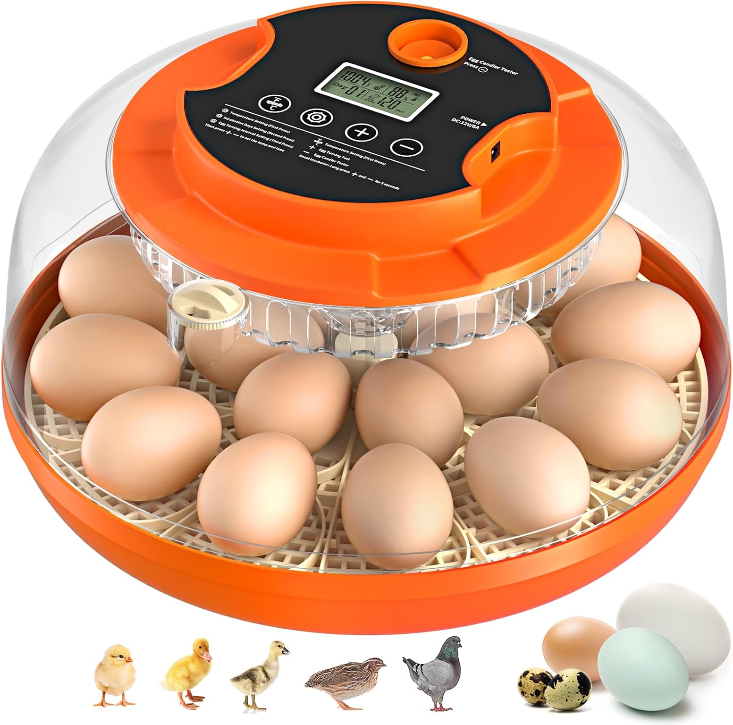 💥🎁 Clearance sale last day$39.90!Buy 2 Get 1 Free 🎁🔥✨Auto Egg Turning