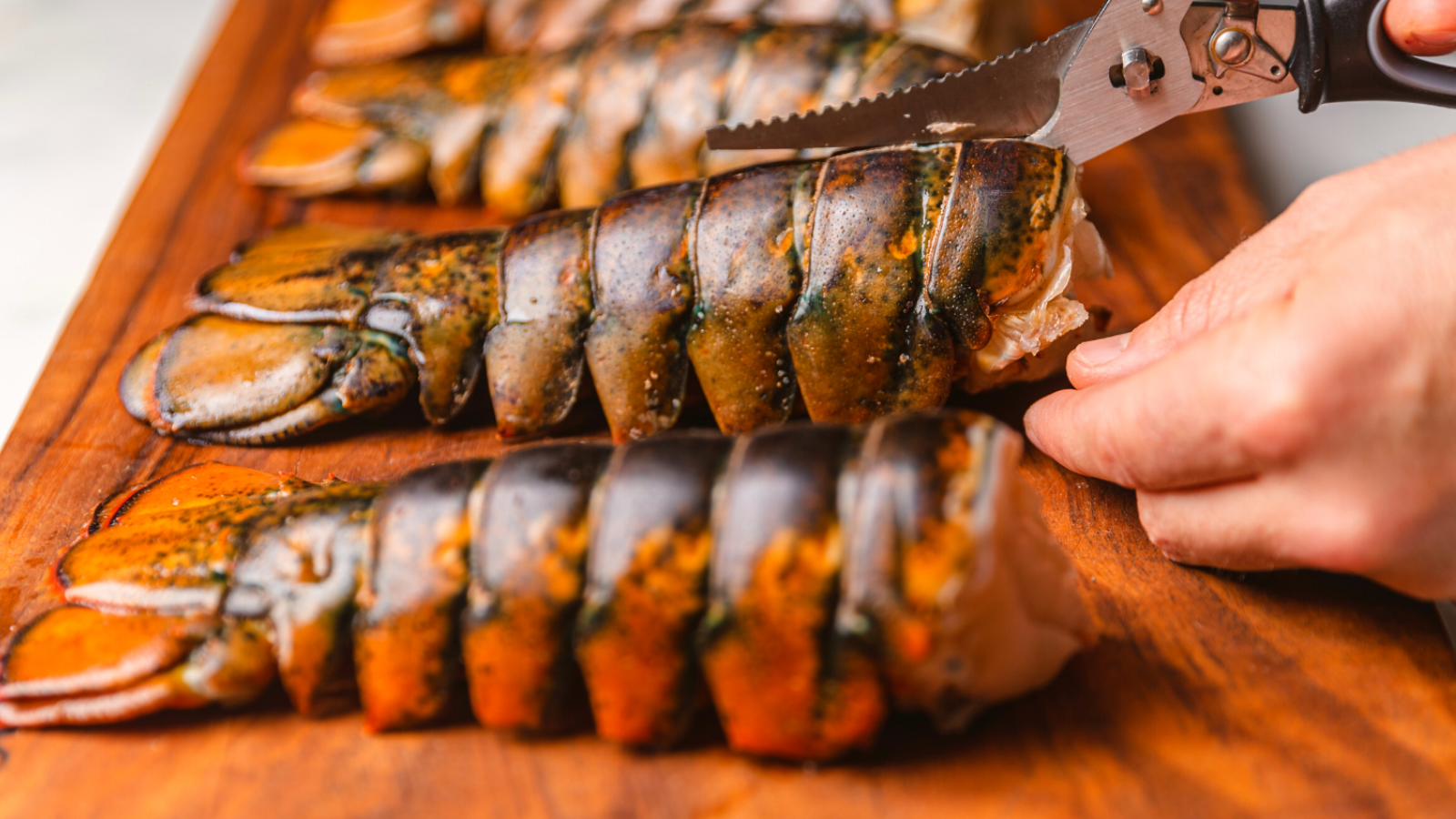 Large Maine Lobster Tails (5-6oz)