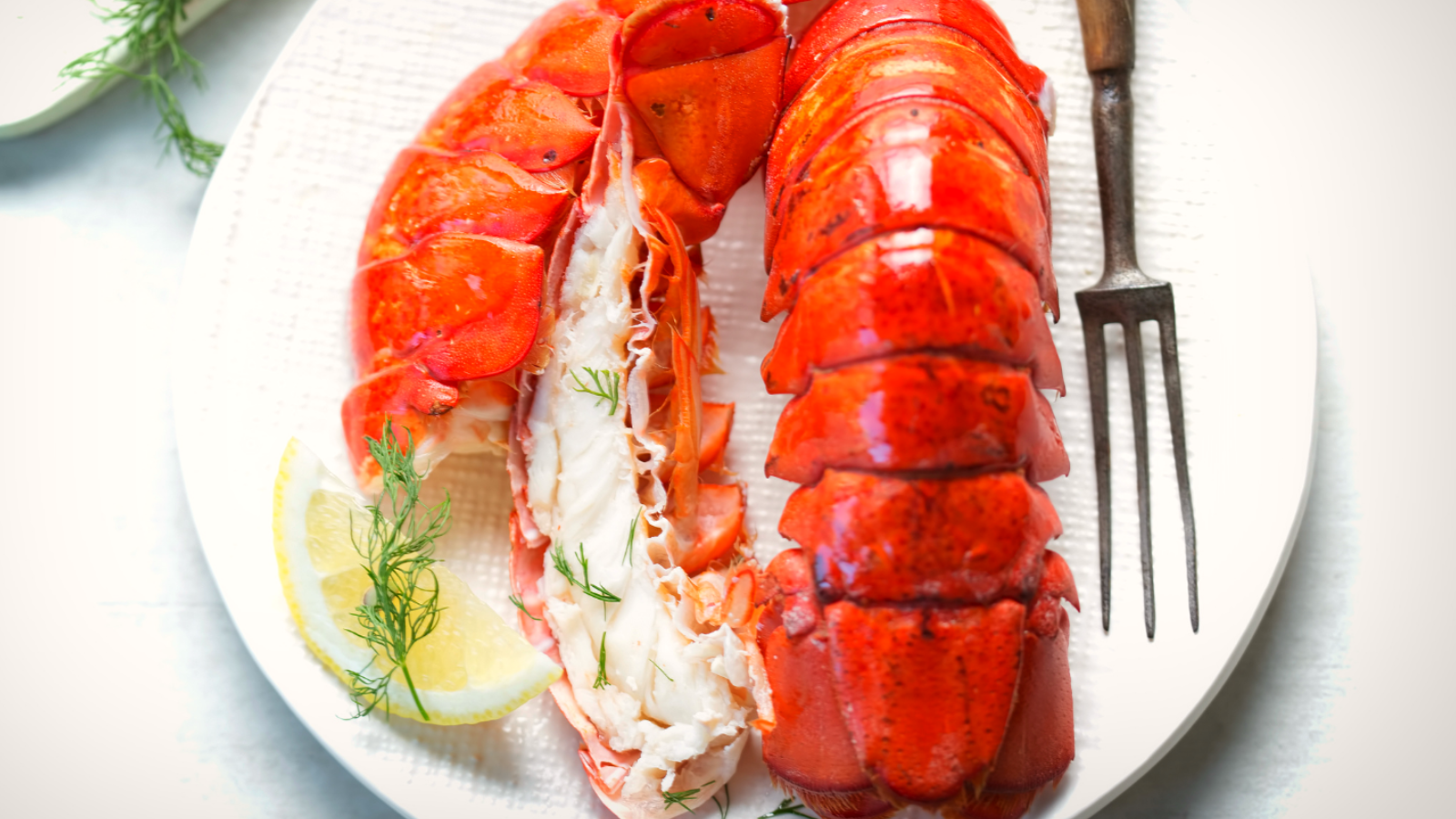 Over-Sized Maine Lobster Tails (6-7oz)