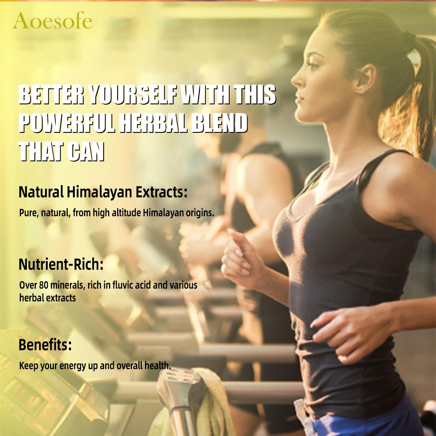 Aoesofe Shilajit Gummies