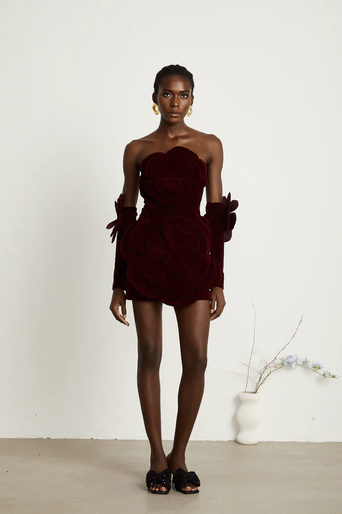 Azura floral-appliqué mini dress in Red