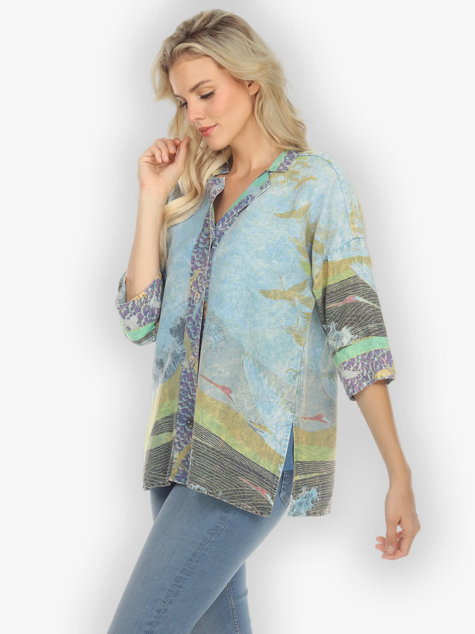 Crane Flying Sky Notch Collar Shirt