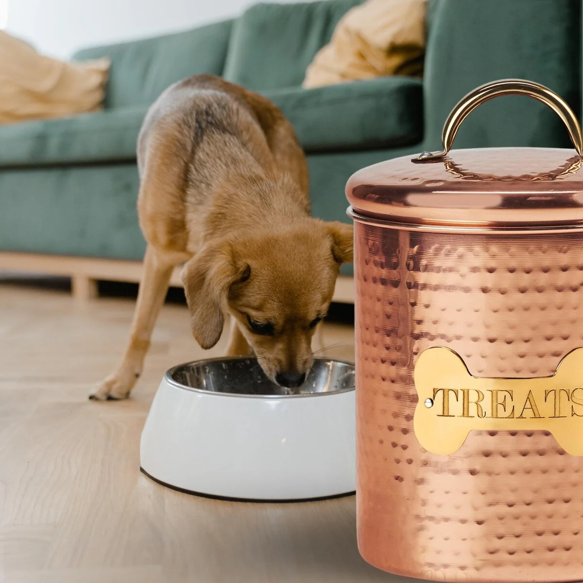King Charles Copper Dog Extra Canister for Pet Food