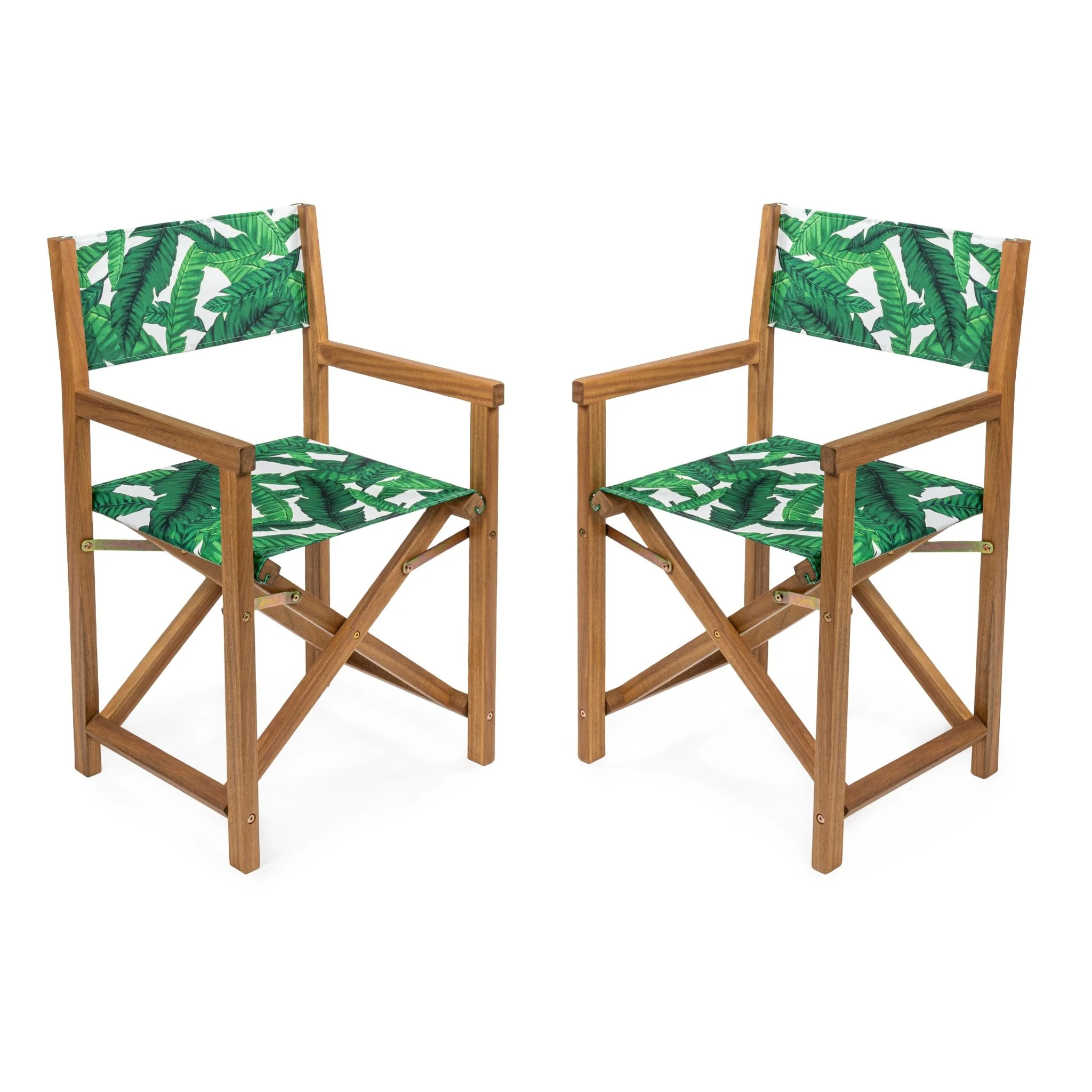 Cukor Outdoor Acacia Wood Folding Director Chair with Canvas Seat, Set of 2
