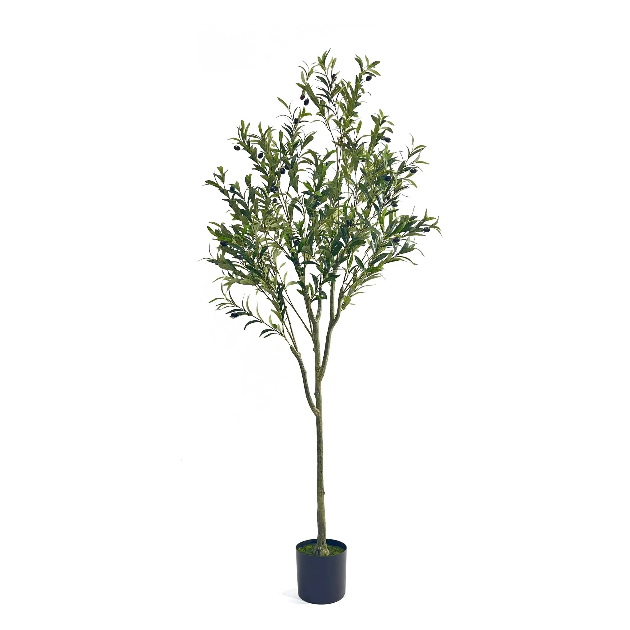 Vortexed Artificial Olive Tree