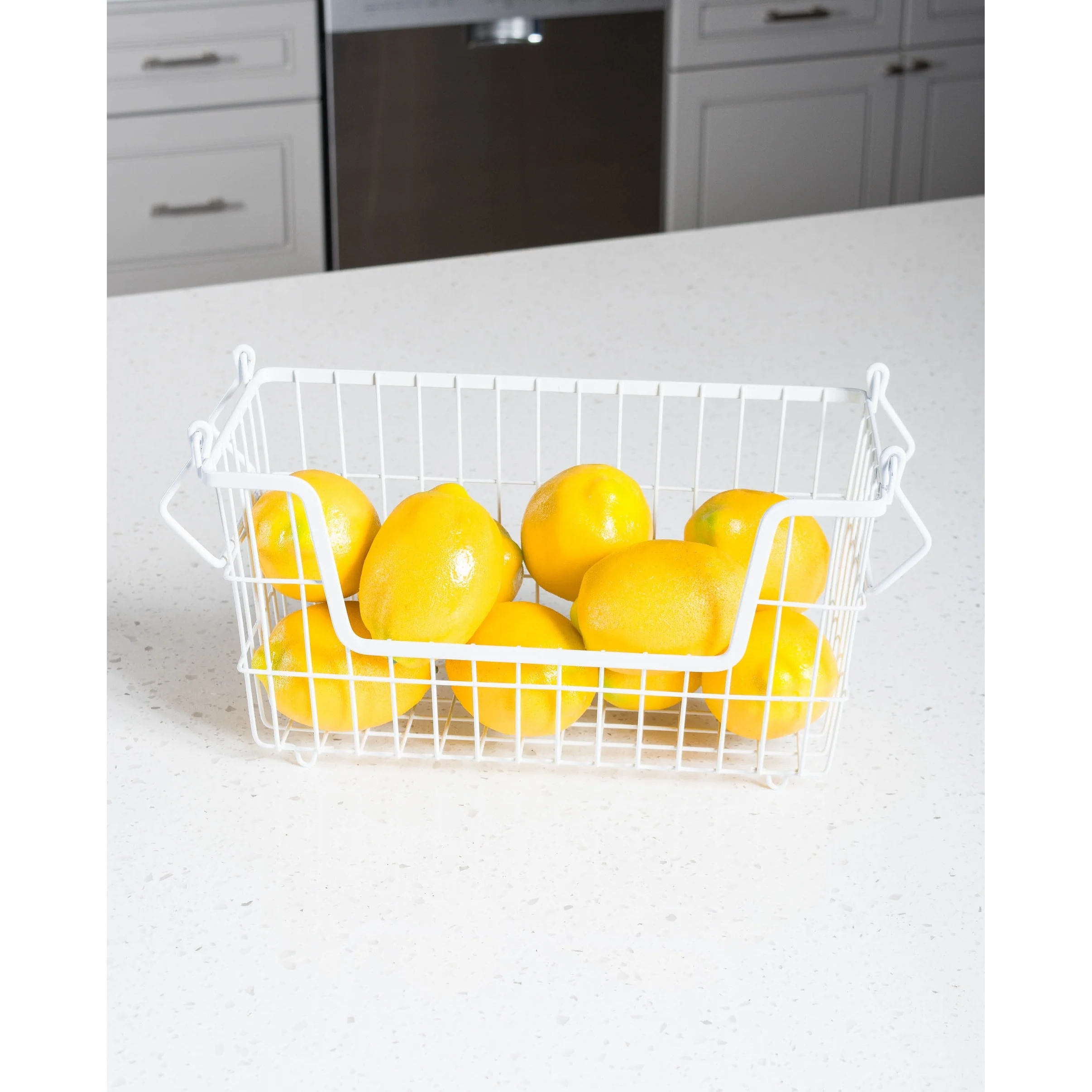 DII Metal Basket