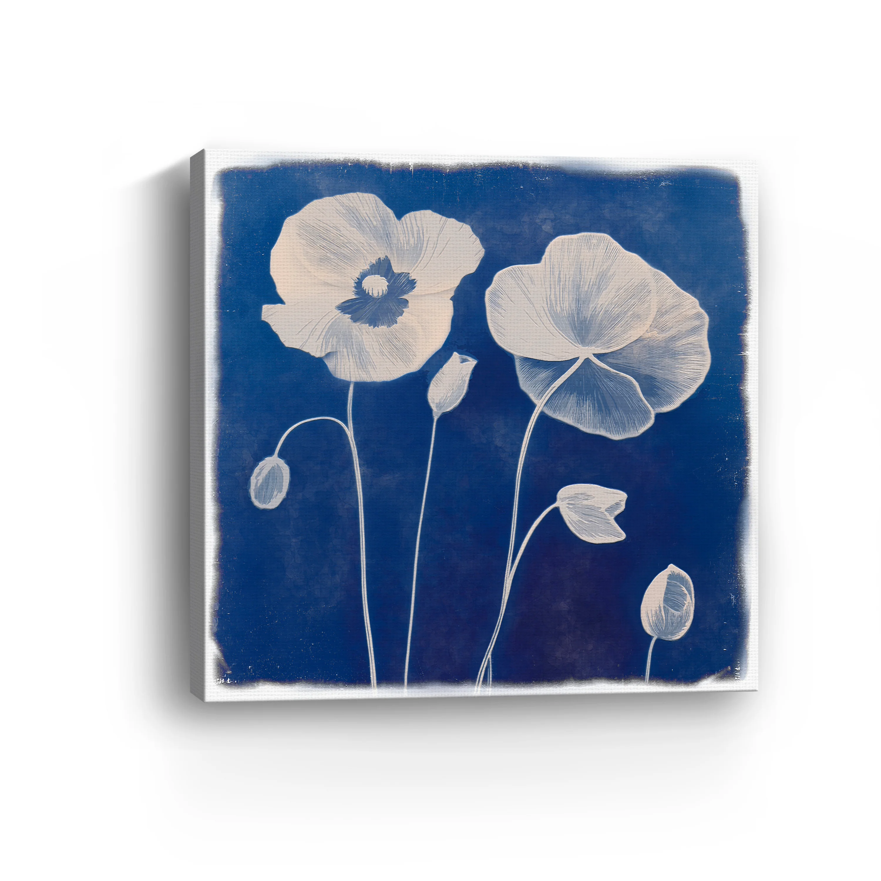 Poppies Canvas Giclee