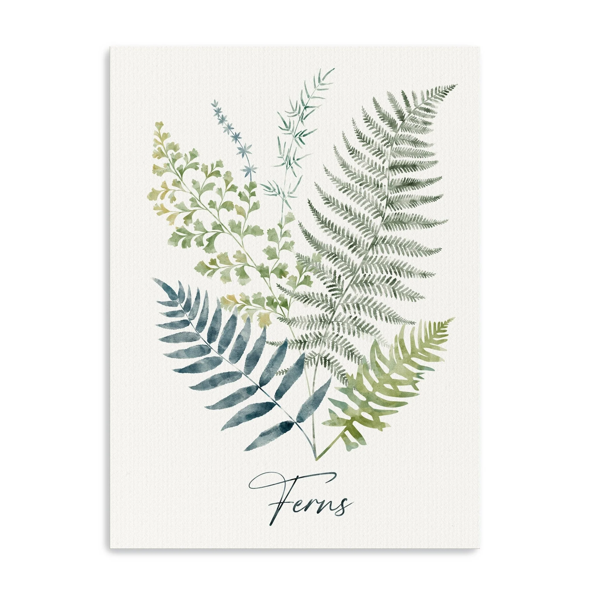 Ferns Canvas Giclee Wall Art