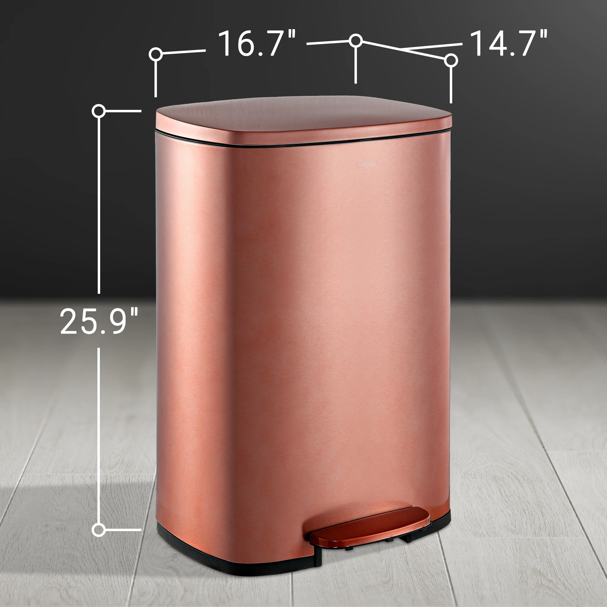 happimess 13-Gallon Trash Can with Soft-Close Lid and FREE Mini Trash Can