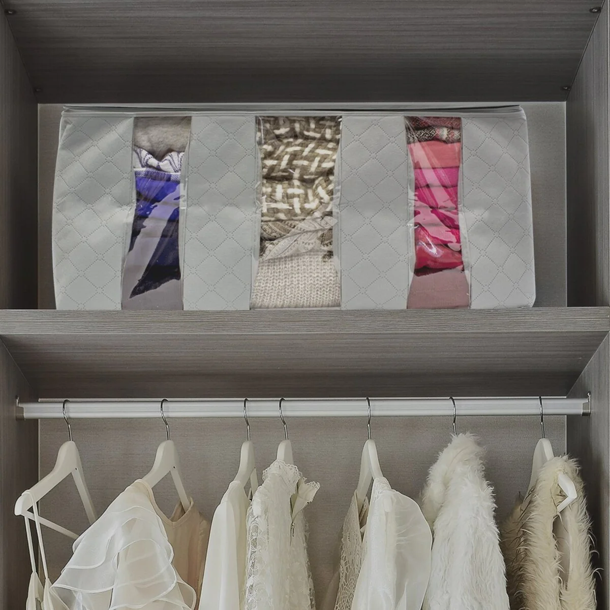 Foldable Storage Bag Organizers (Single)