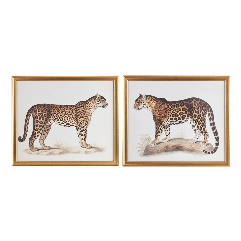 Cheetah Framed Graphic Wall Decor, Set of 2