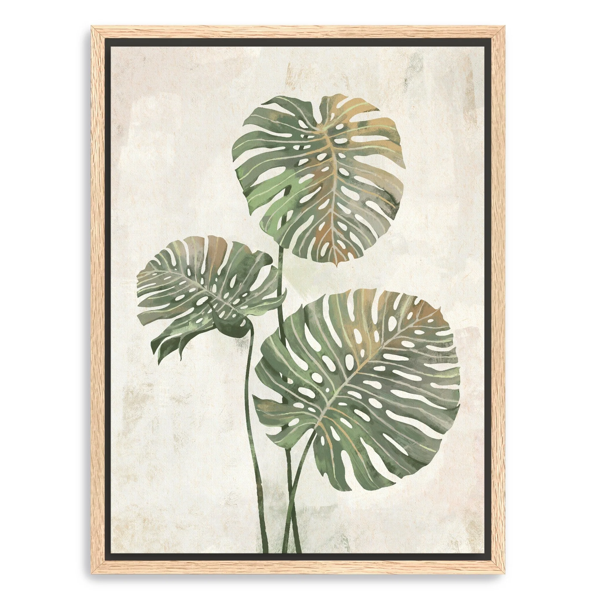 Monstera Leaves Canvas Giclee Wall Art