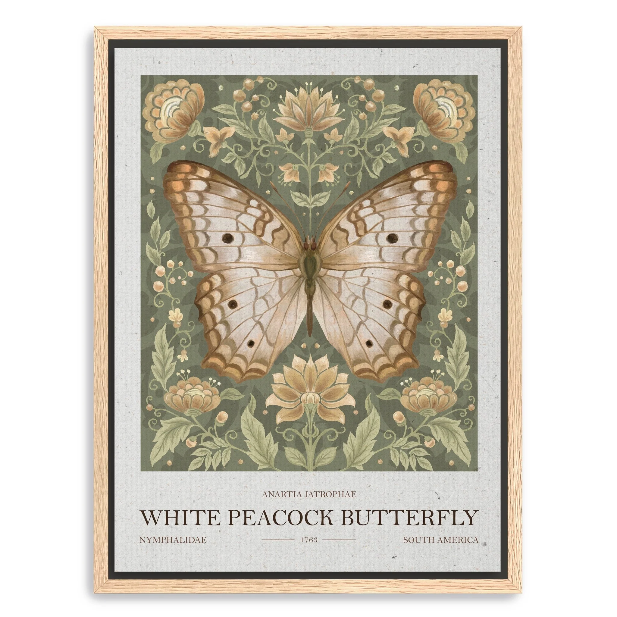 White Peacock Butterfly Canvas Giclee Wall Art