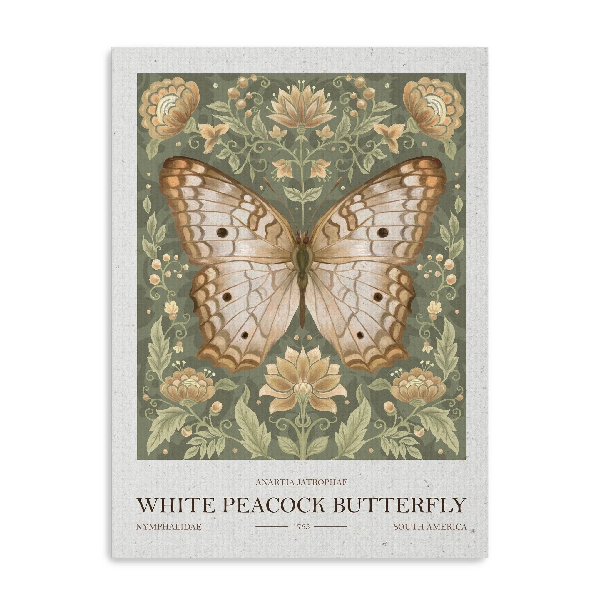White Peacock Butterfly Canvas Giclee Wall Art