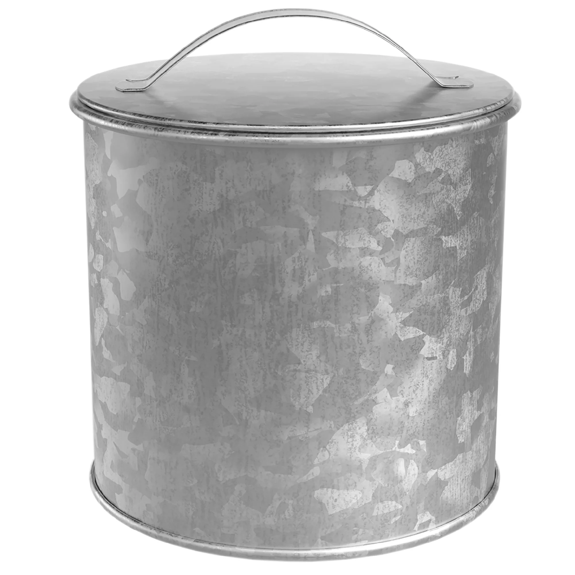 Amici Newport Galvanized Metal Storage Canister