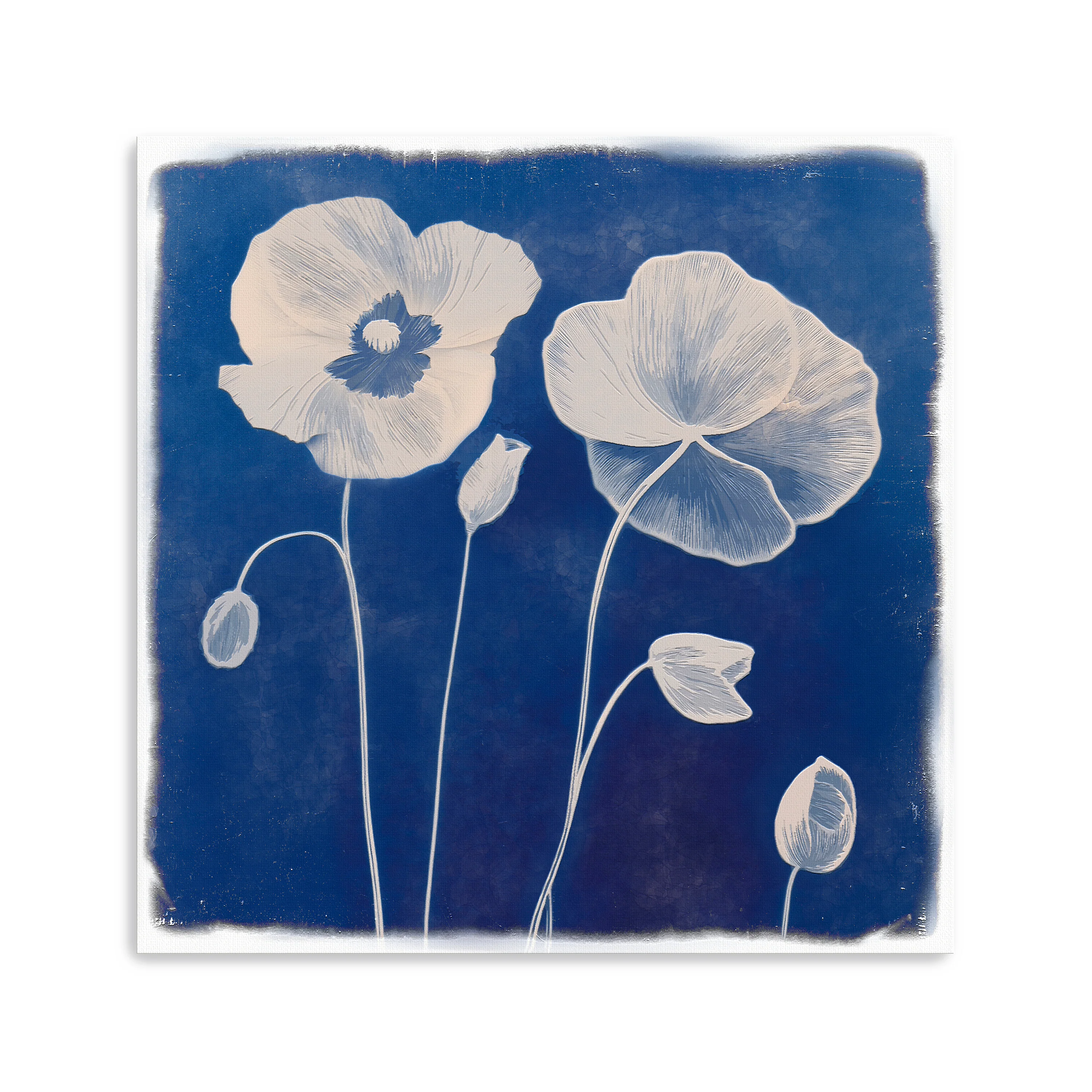 Poppies Canvas Giclee