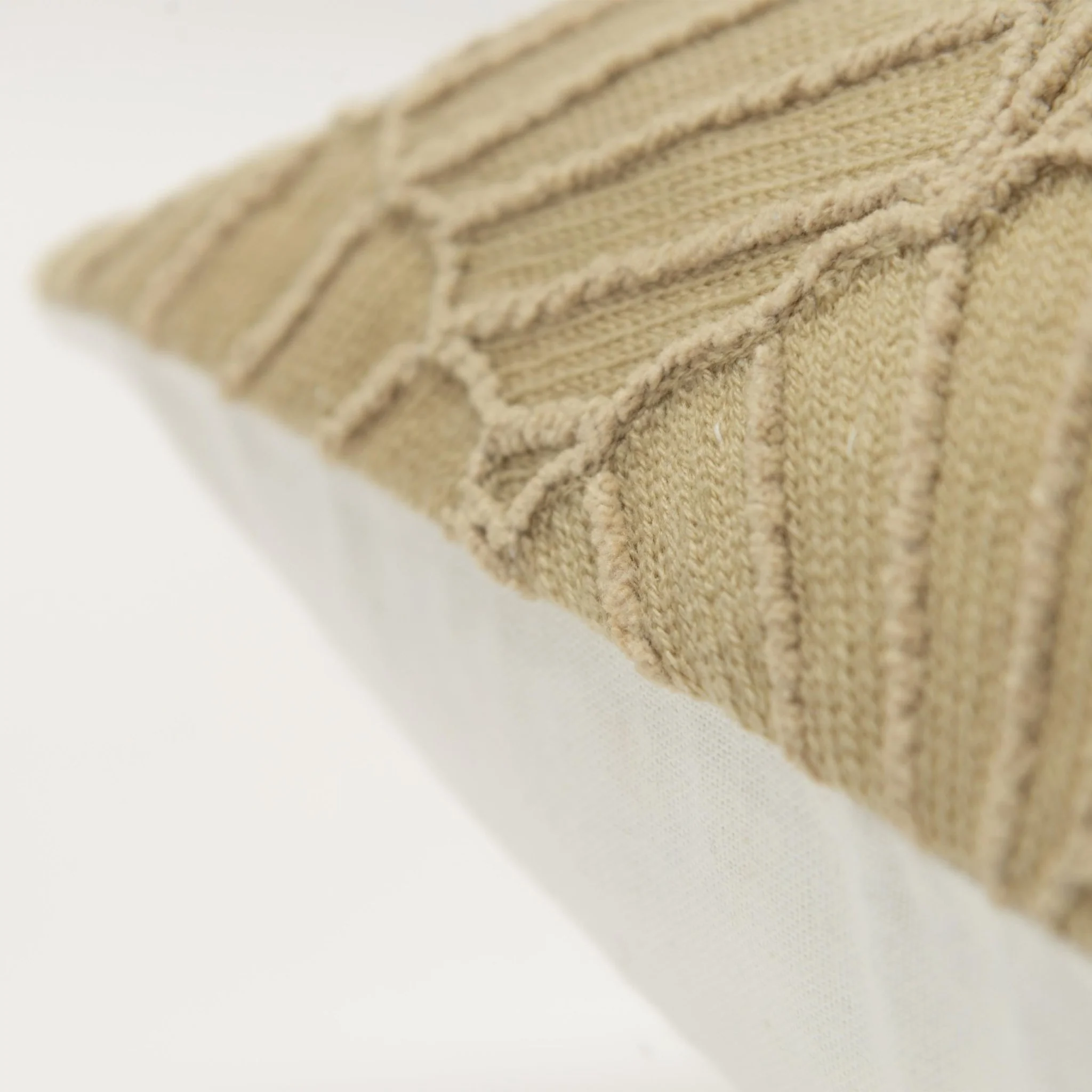 Embroidered Fan Square Pillow