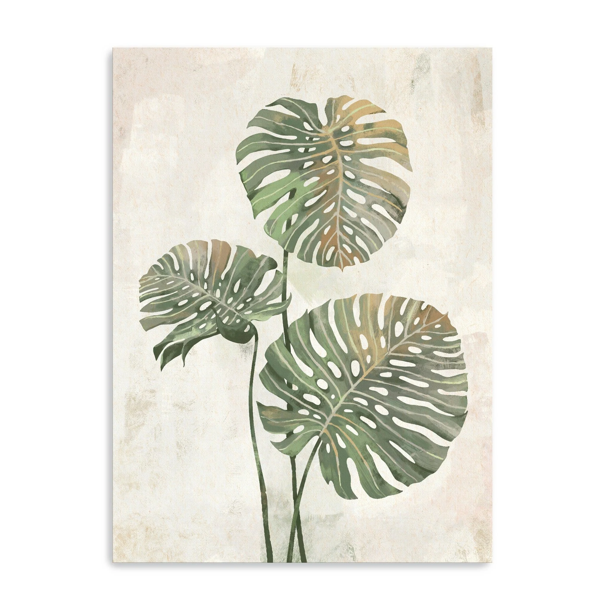 Monstera Leaves Canvas Giclee Wall Art