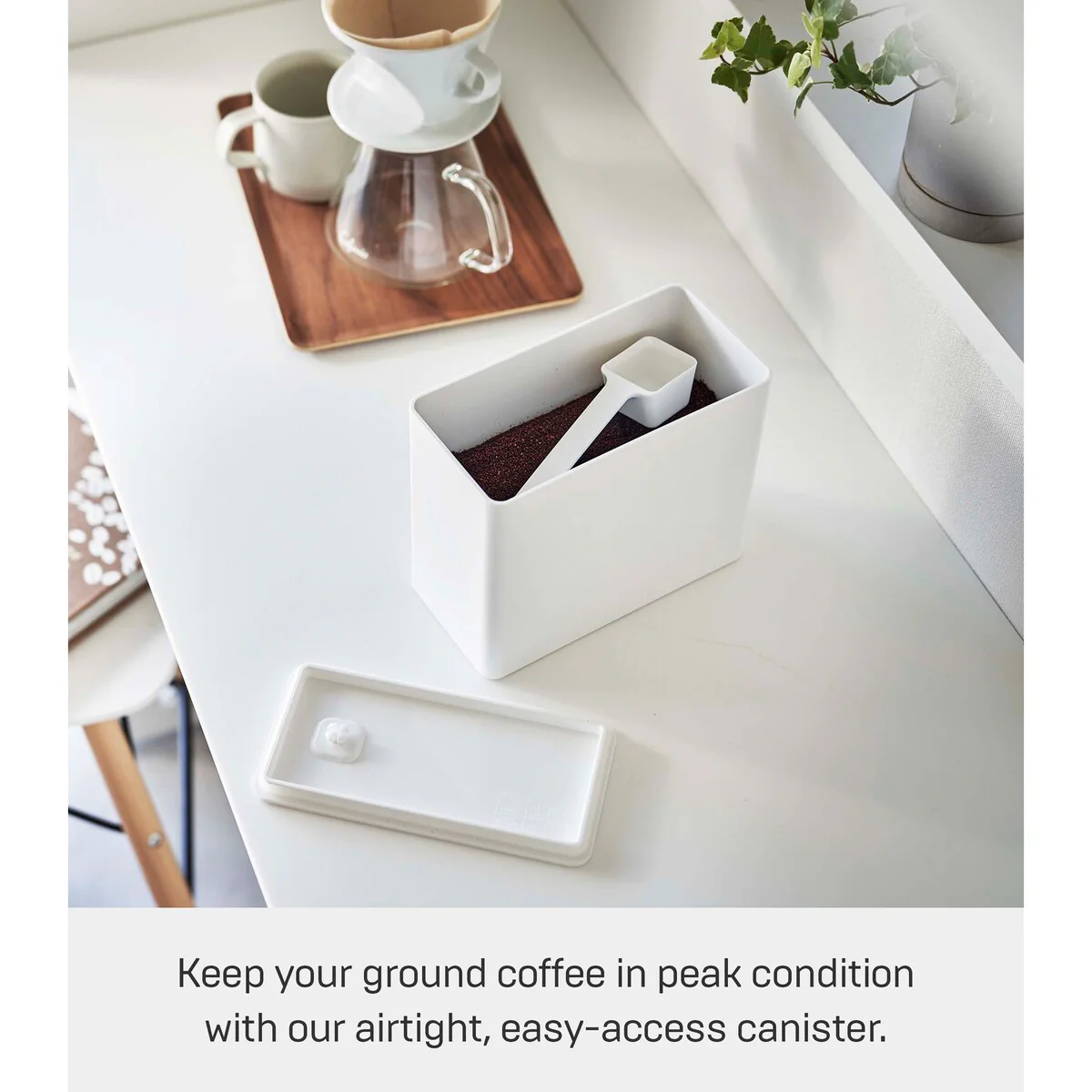 Yamazaki Home Vacuum-Sealing Coffee Storage, Polypropylene - L 3.62 x W 7.24 x H 6.06 inches