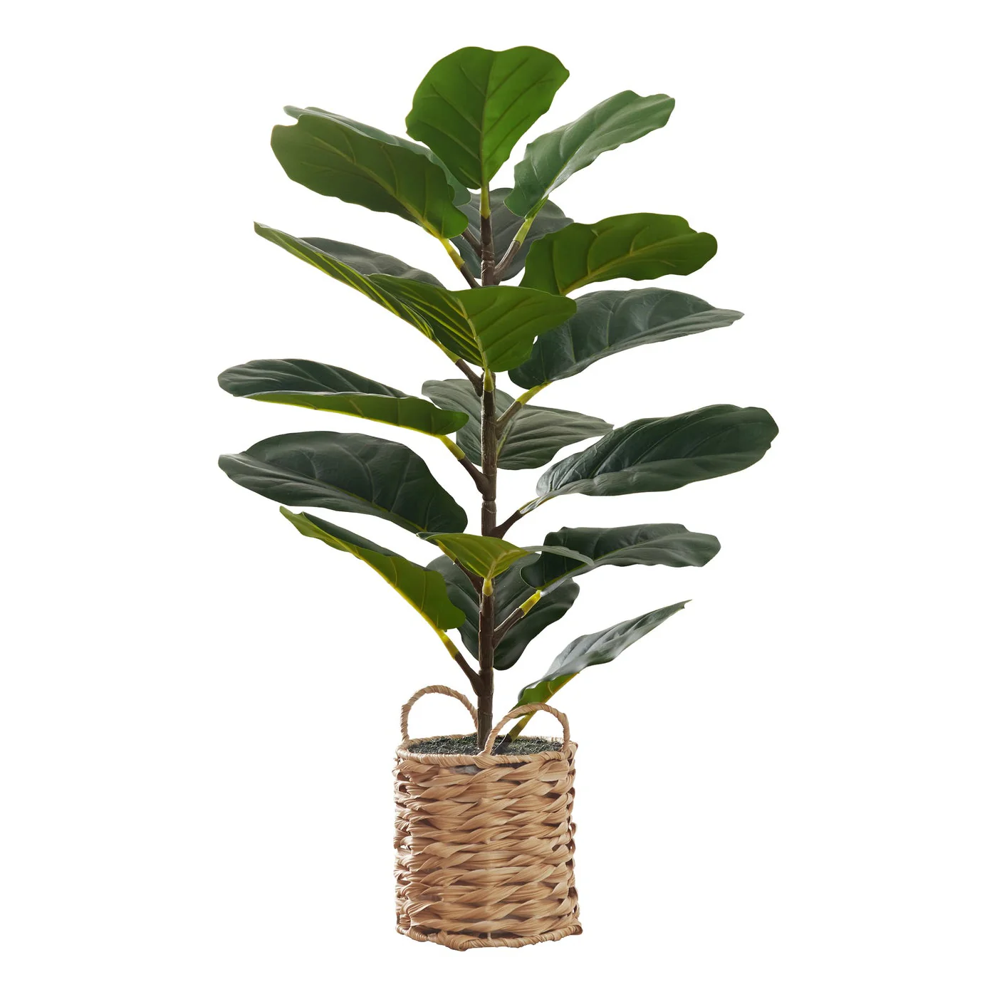 28 Tall Artificial Fiddle Tree with Woven Basket