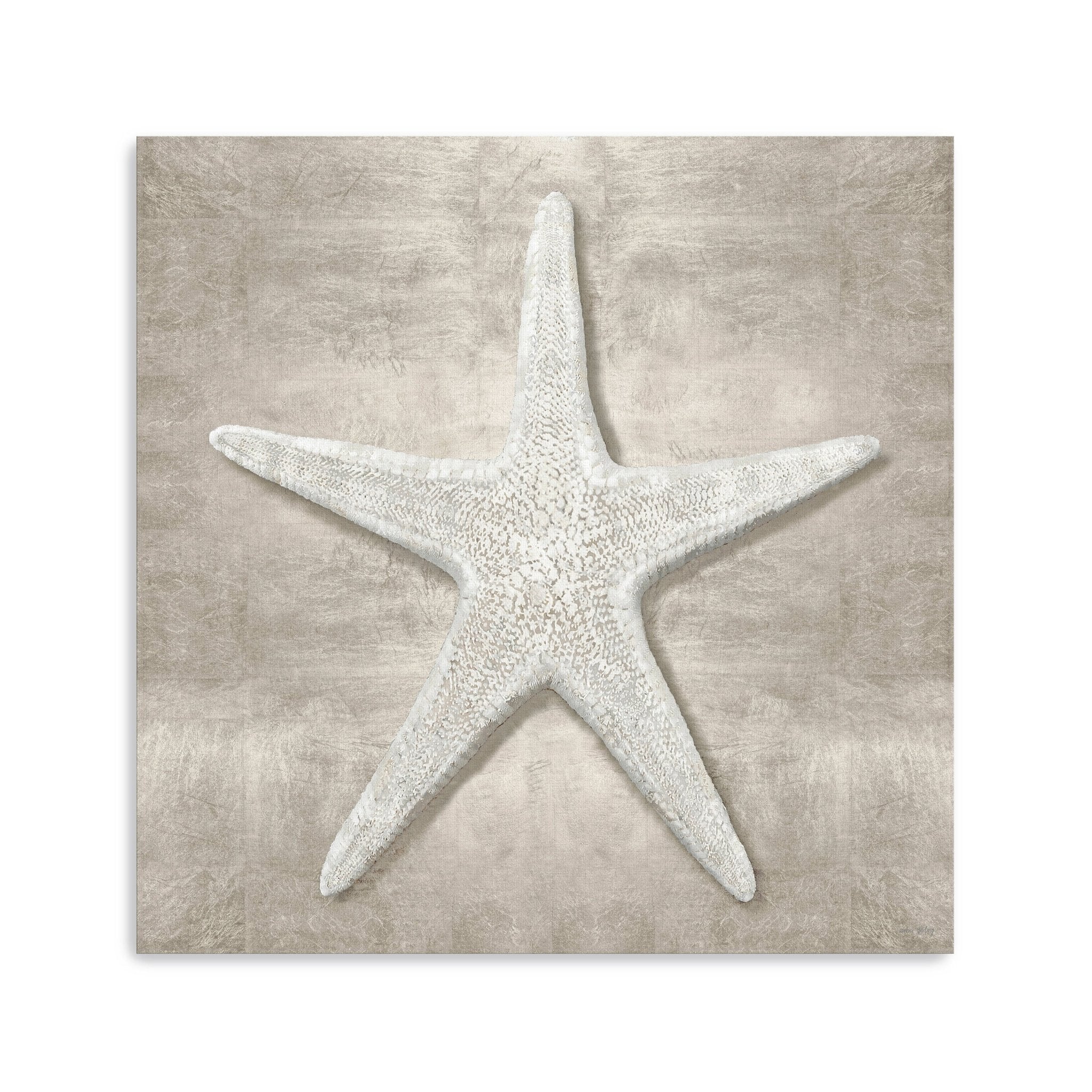 Pewter Seashells III Canvas Giclee Wall Art