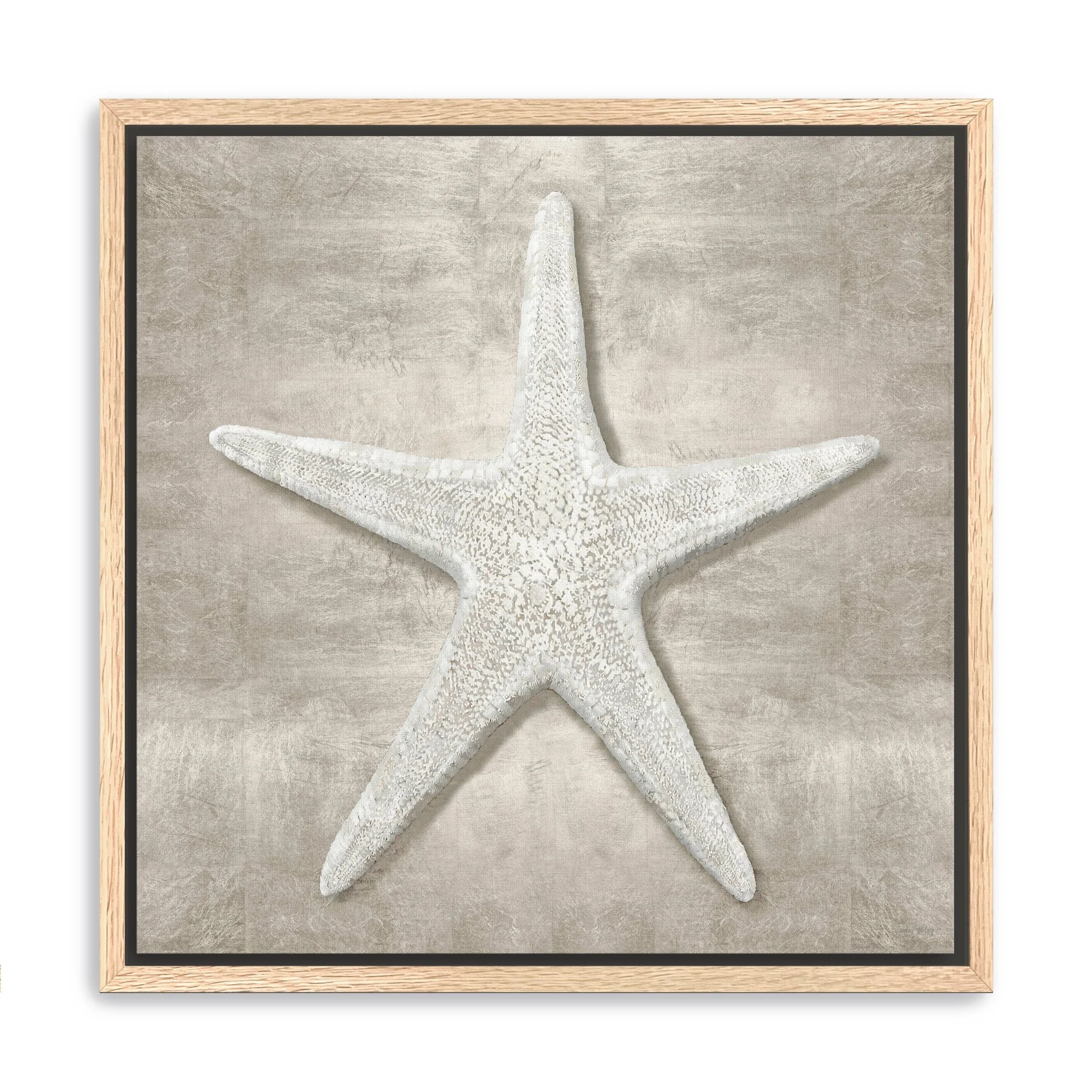 Pewter Seashells III Canvas Giclee Wall Art