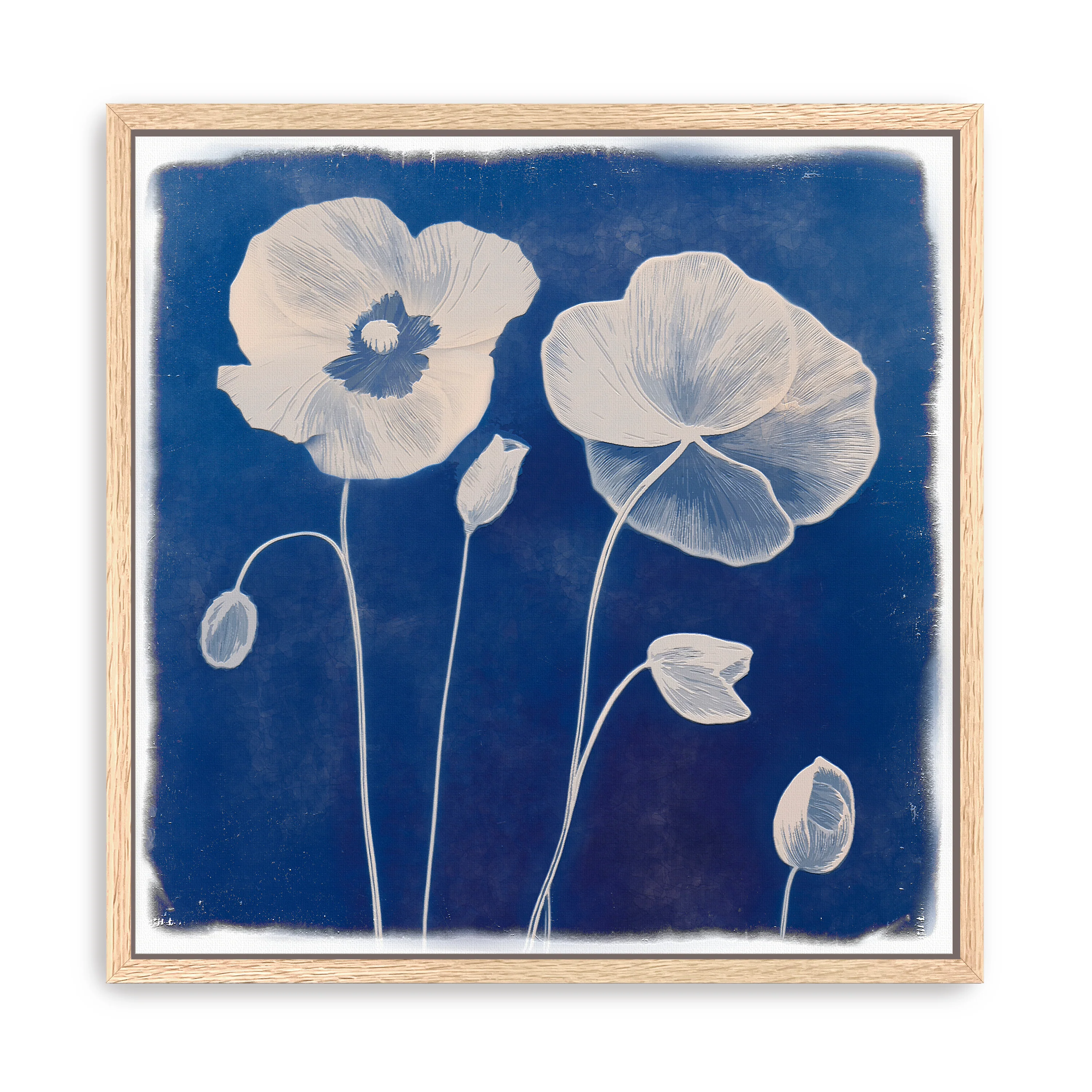Poppies Canvas Giclee