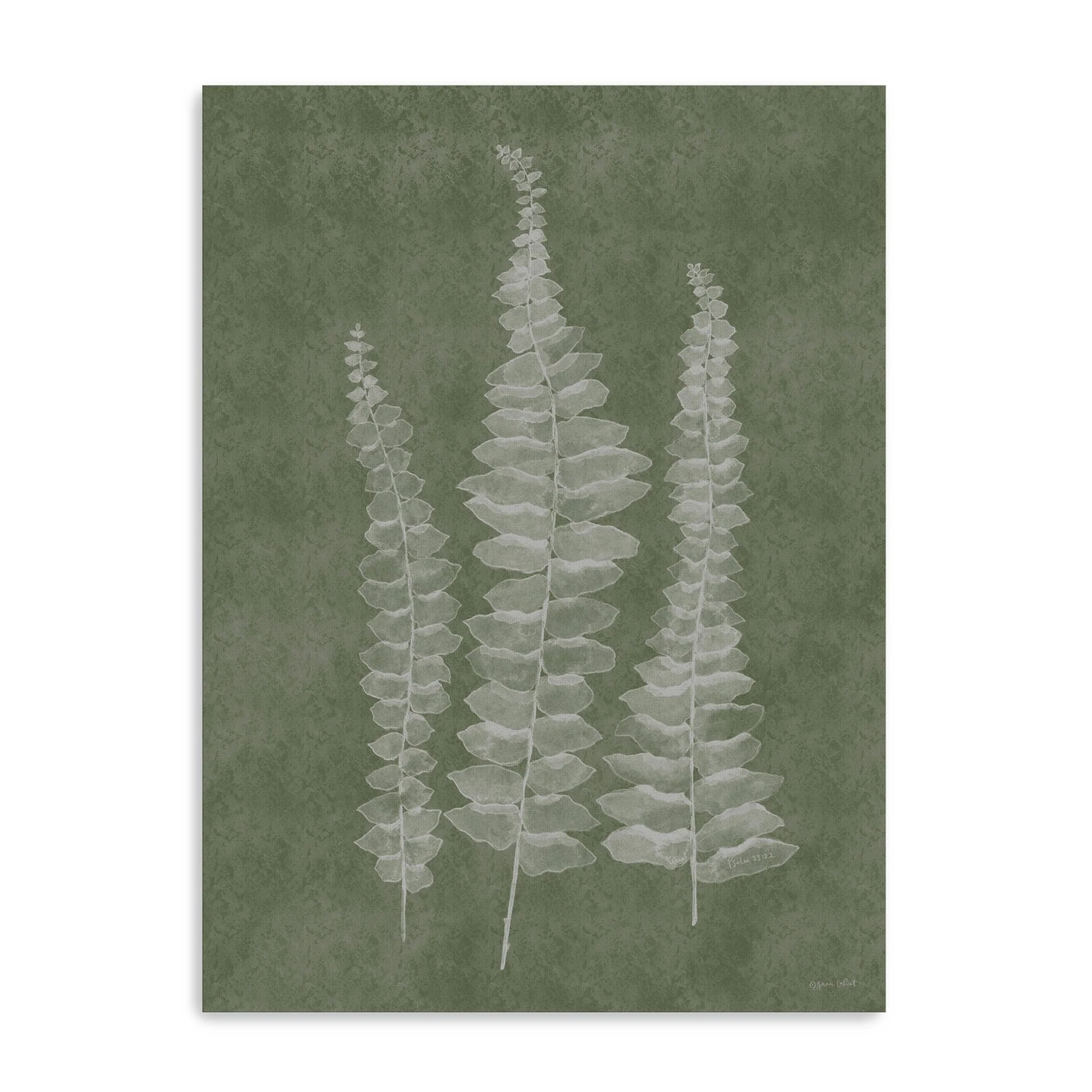 Woodland Ferns I Canvas Giclee Wall Art