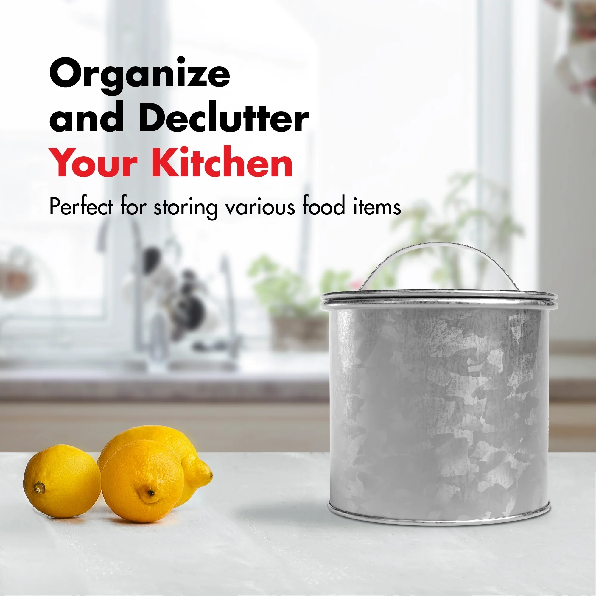 Amici Newport Galvanized Metal Storage Canister