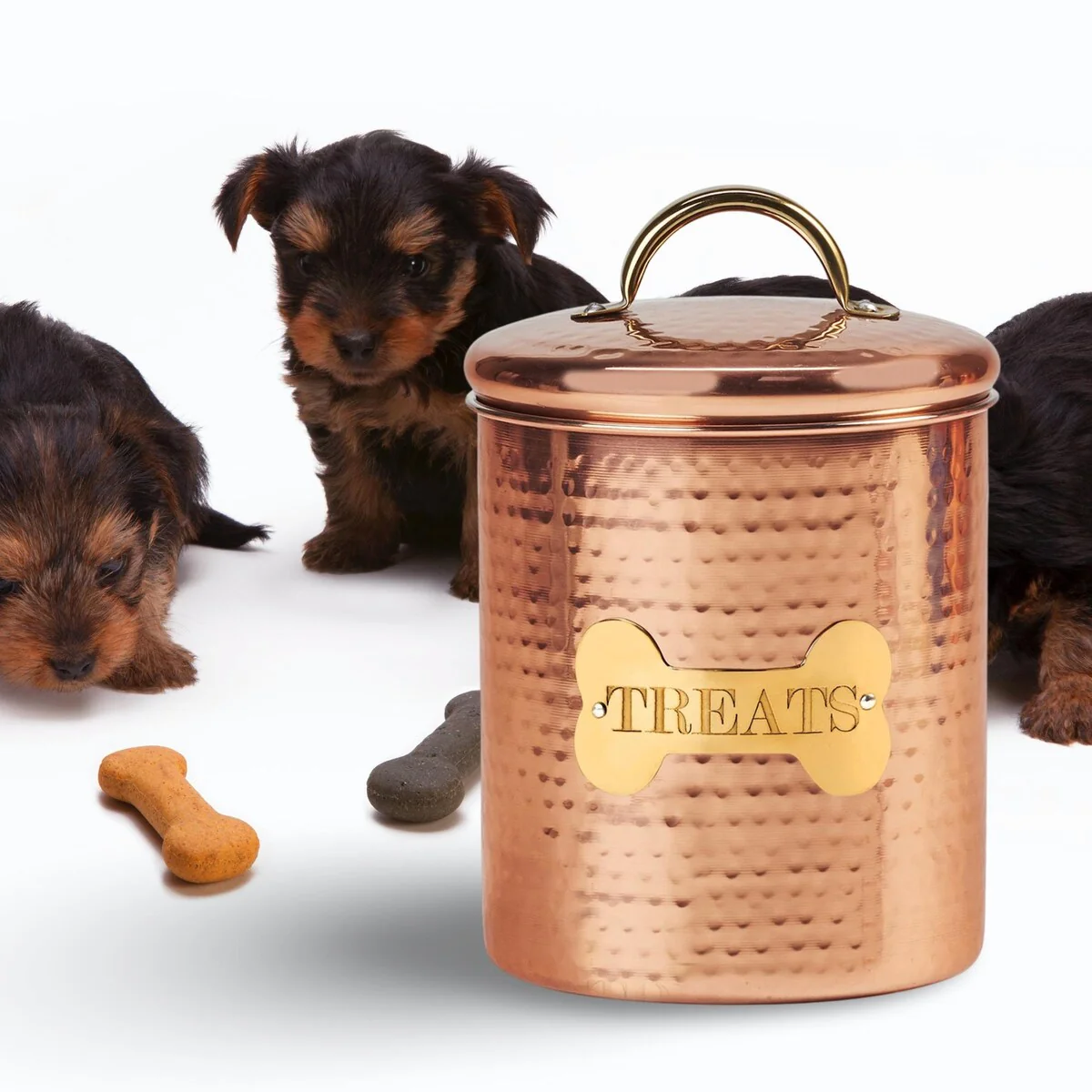 King Charles Copper Dog Extra Canister for Pet Food