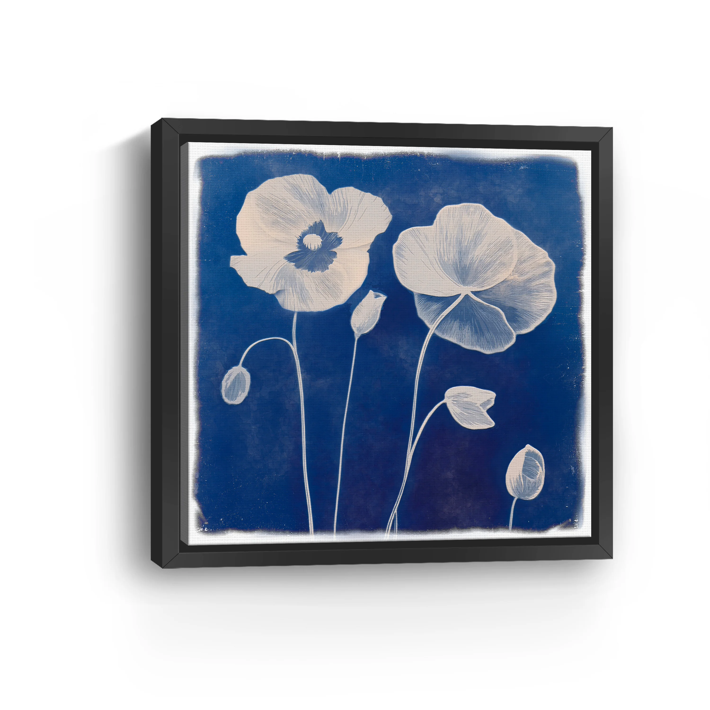 Poppies Canvas Giclee
