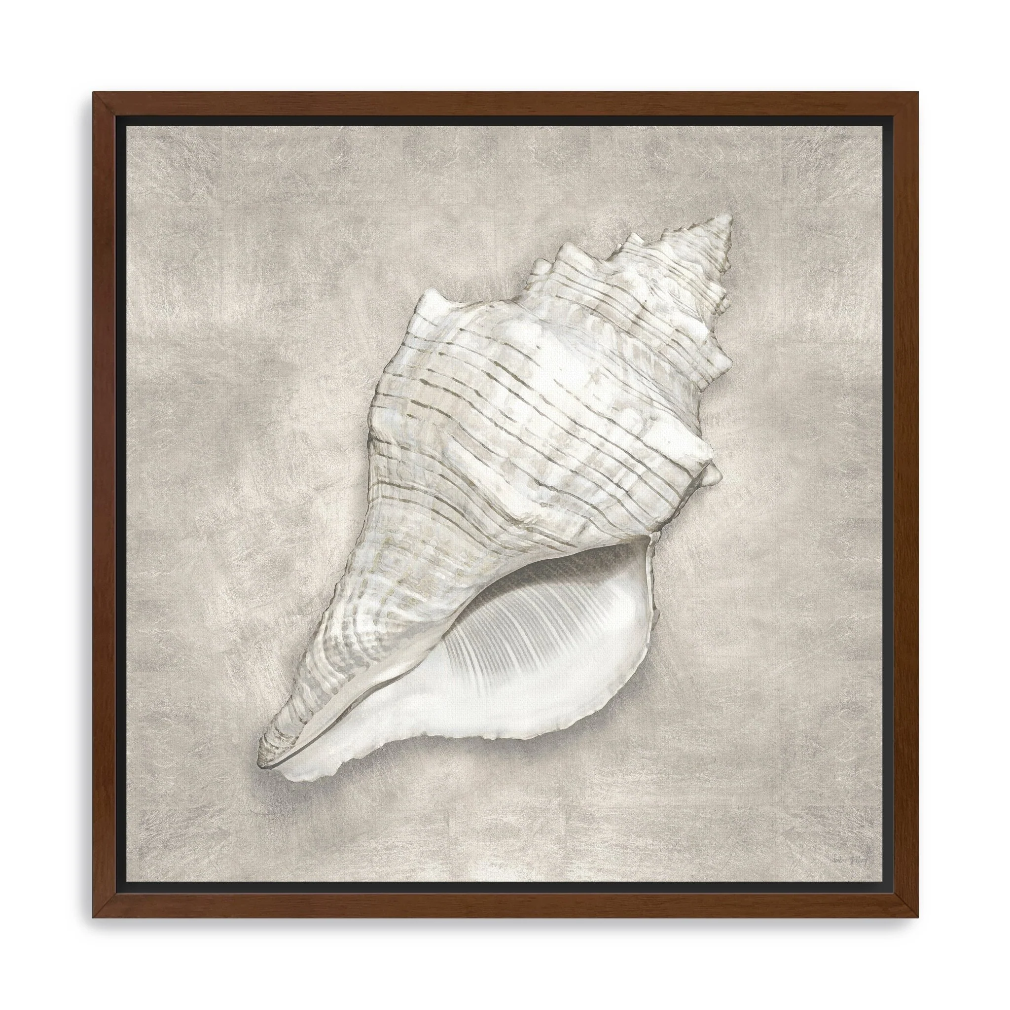 Pewter Seashells I Canvas Giclee Wall Art
