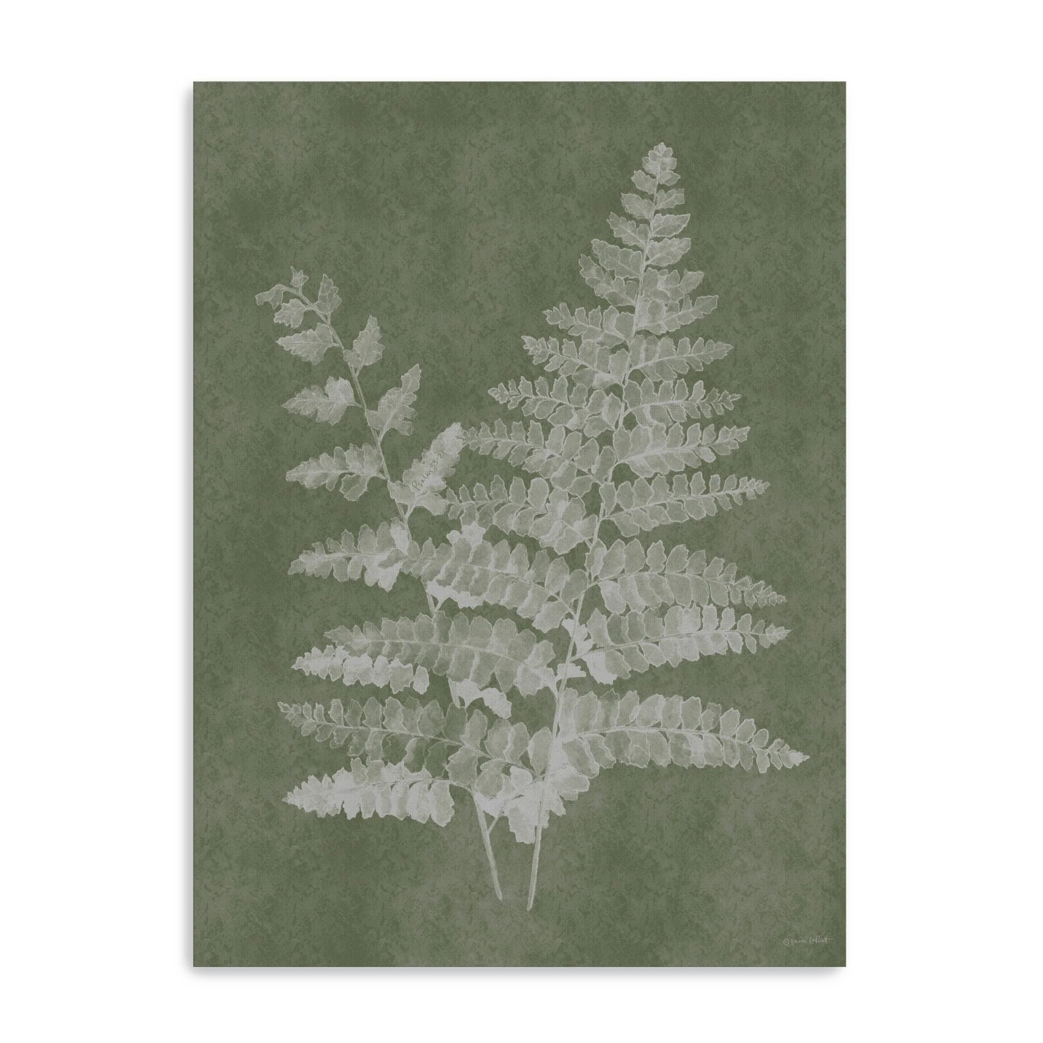 Woodland Ferns II Canvas Giclee Wall Art