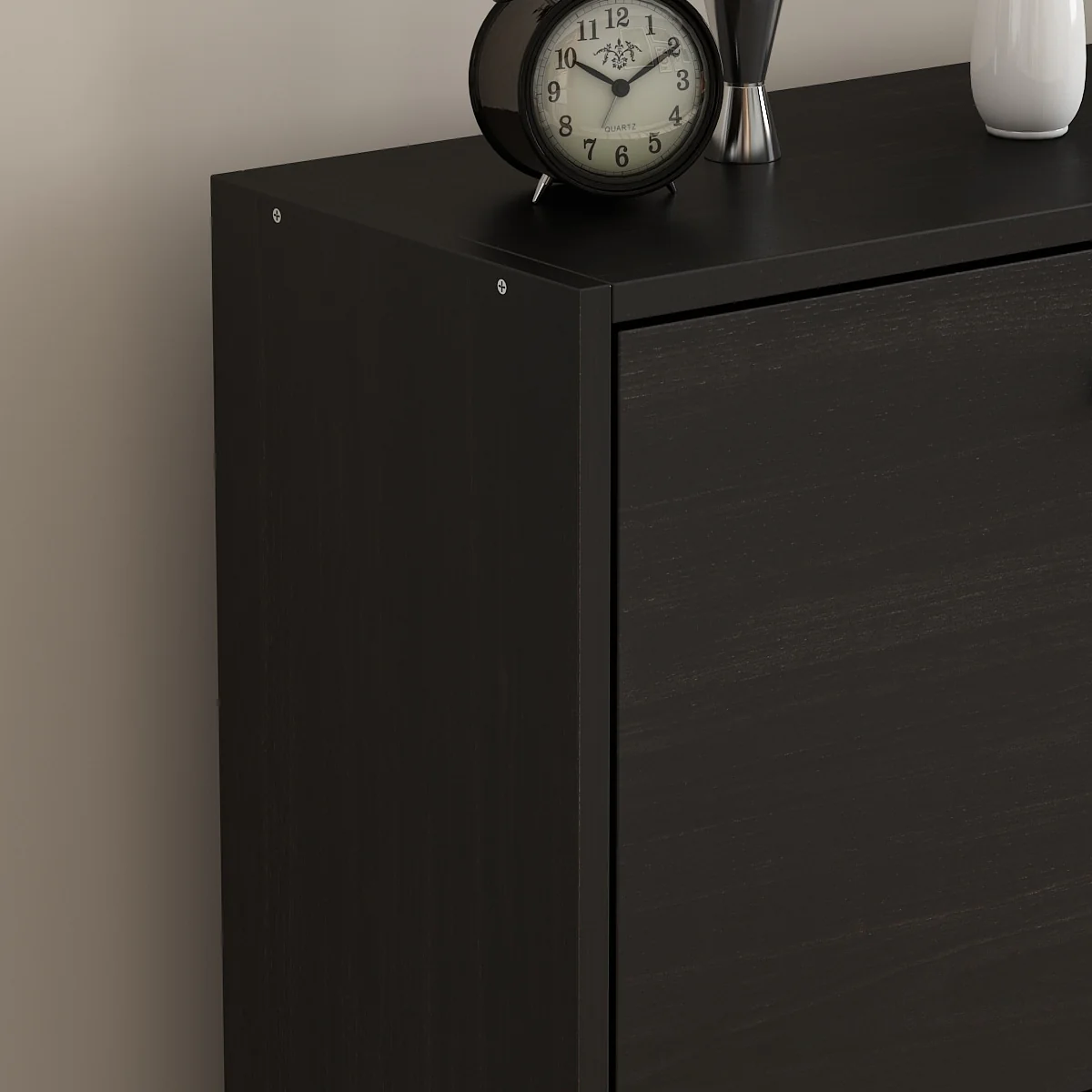 Timechee Black 2-Drawer Shoe Cabinet with 4-Tier Rack (Up to 12 Pairs)