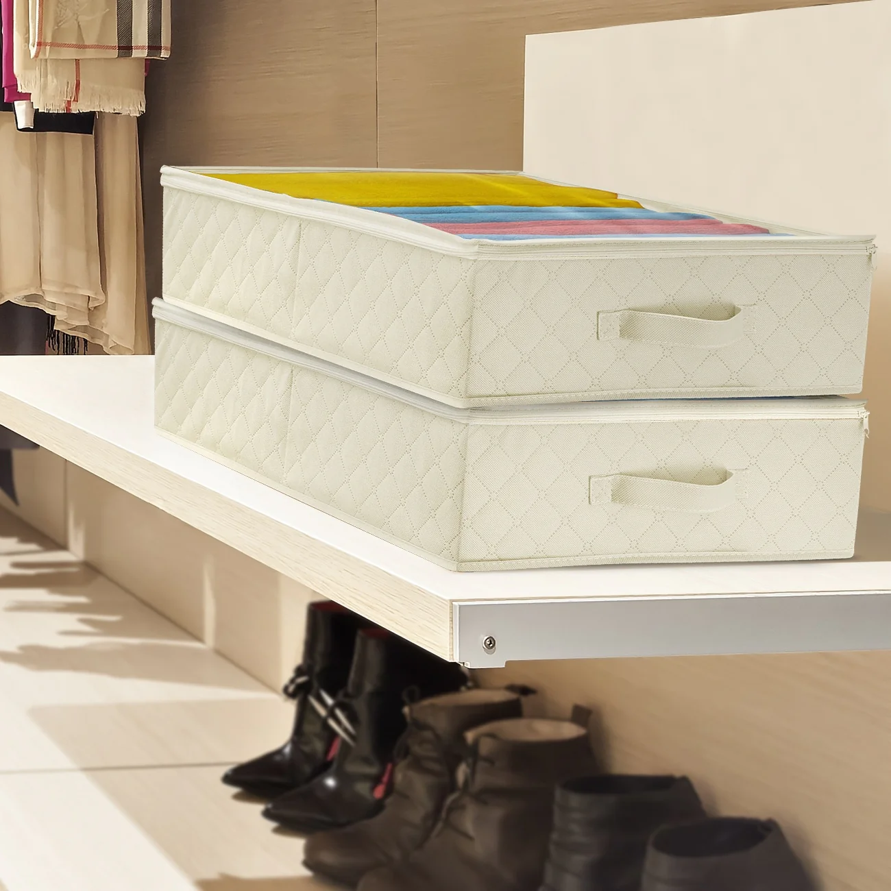 Storage Bags Closet & Underbed Organizer Set, Clear Cover, Foldable with Carry Handles (2-Pack)