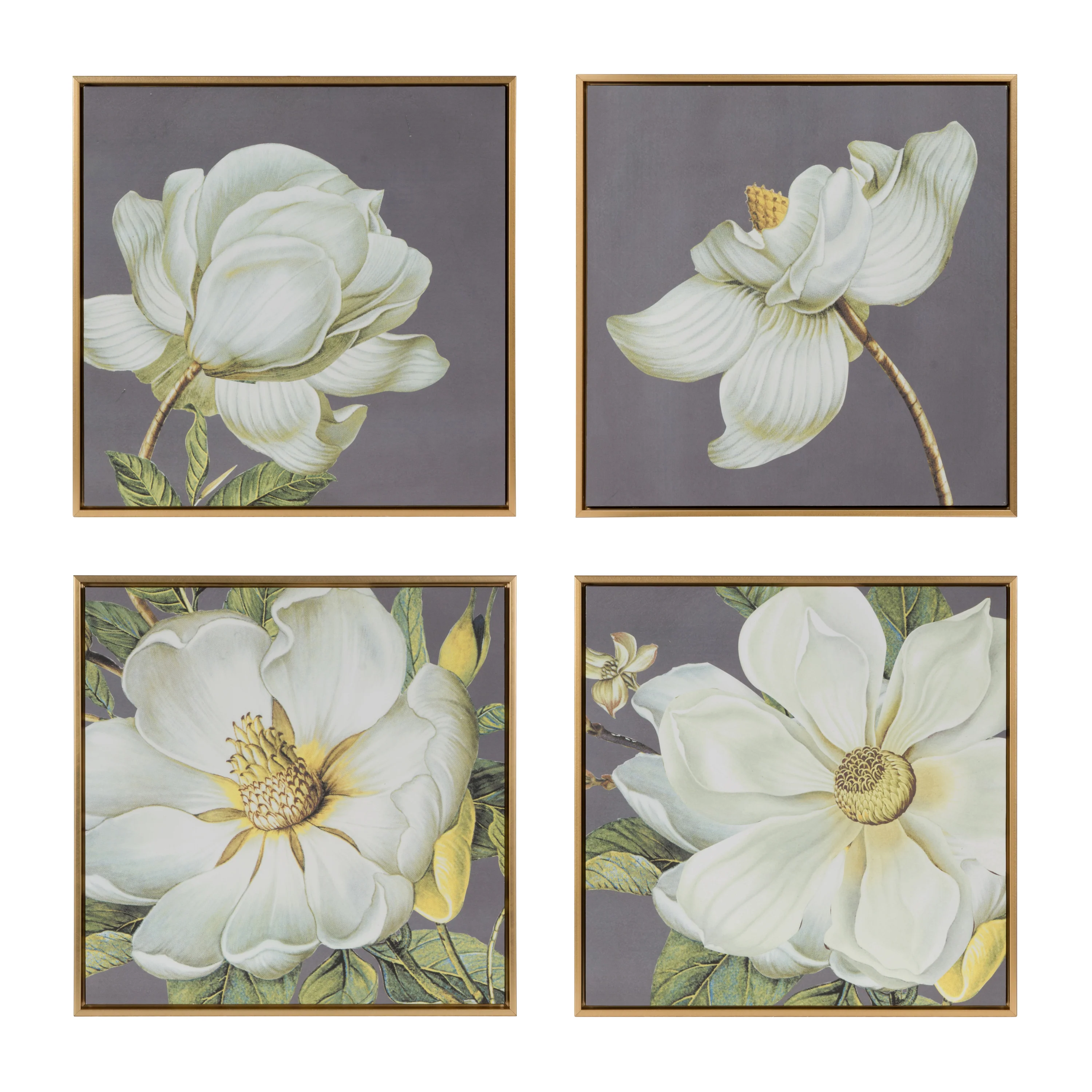 White and Gold Botanical Wall Art Prints