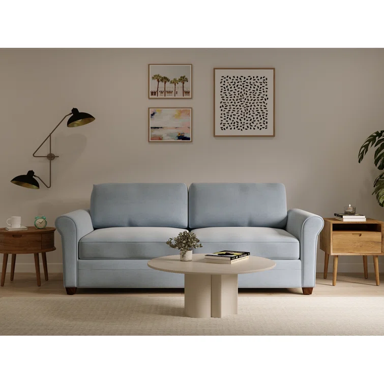 Demetrius 79'' Upholstered Sleeper Sofa