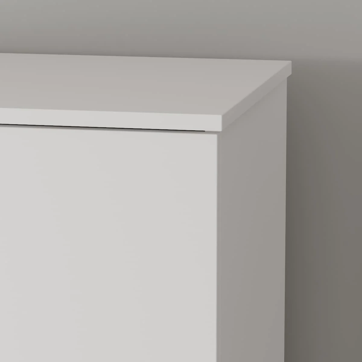 2-Doors 9 Tires Shoes Cabinet With Large Storage Space