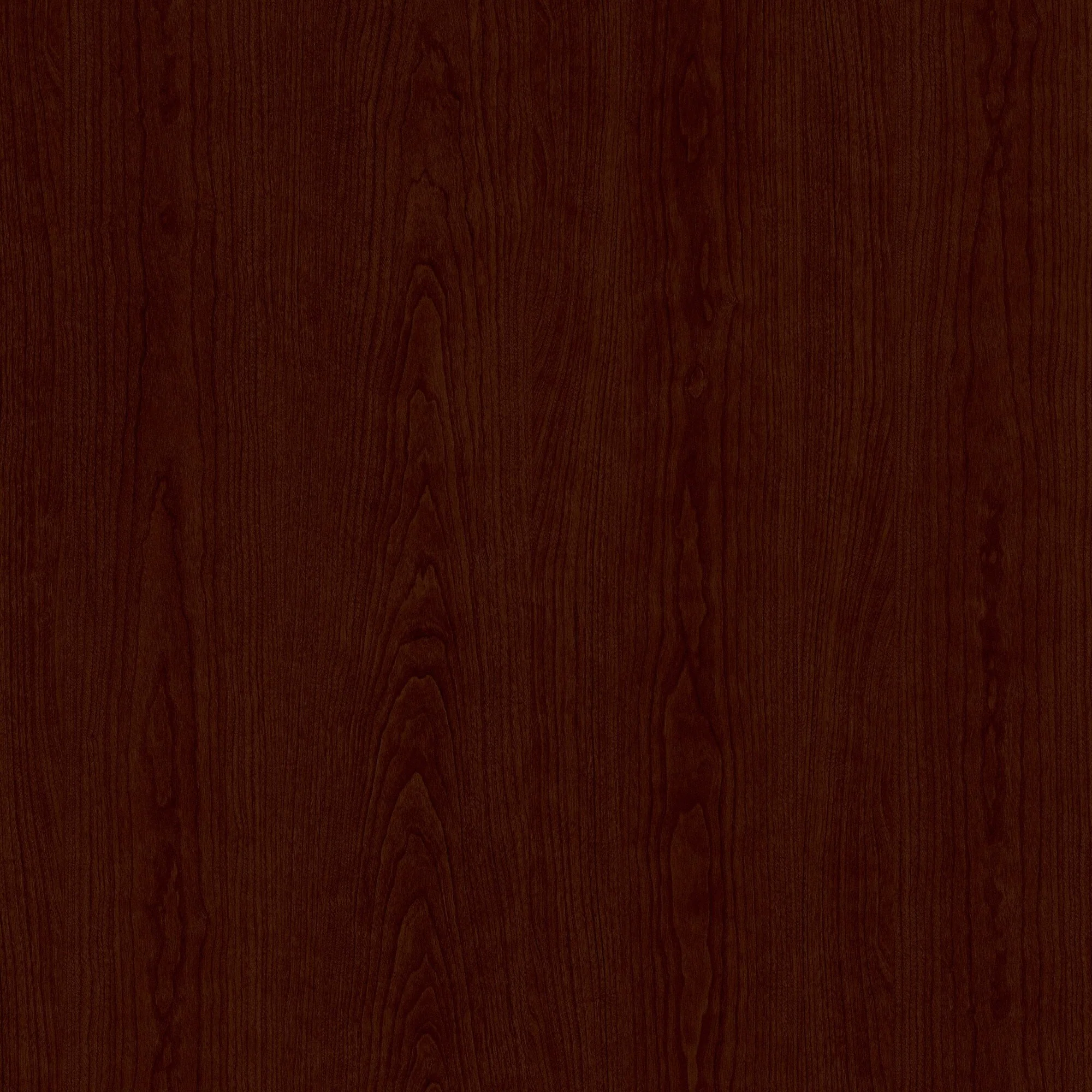 Cabot Tall Kitchen Pantry Cabinet with Doors by Bush Furniture