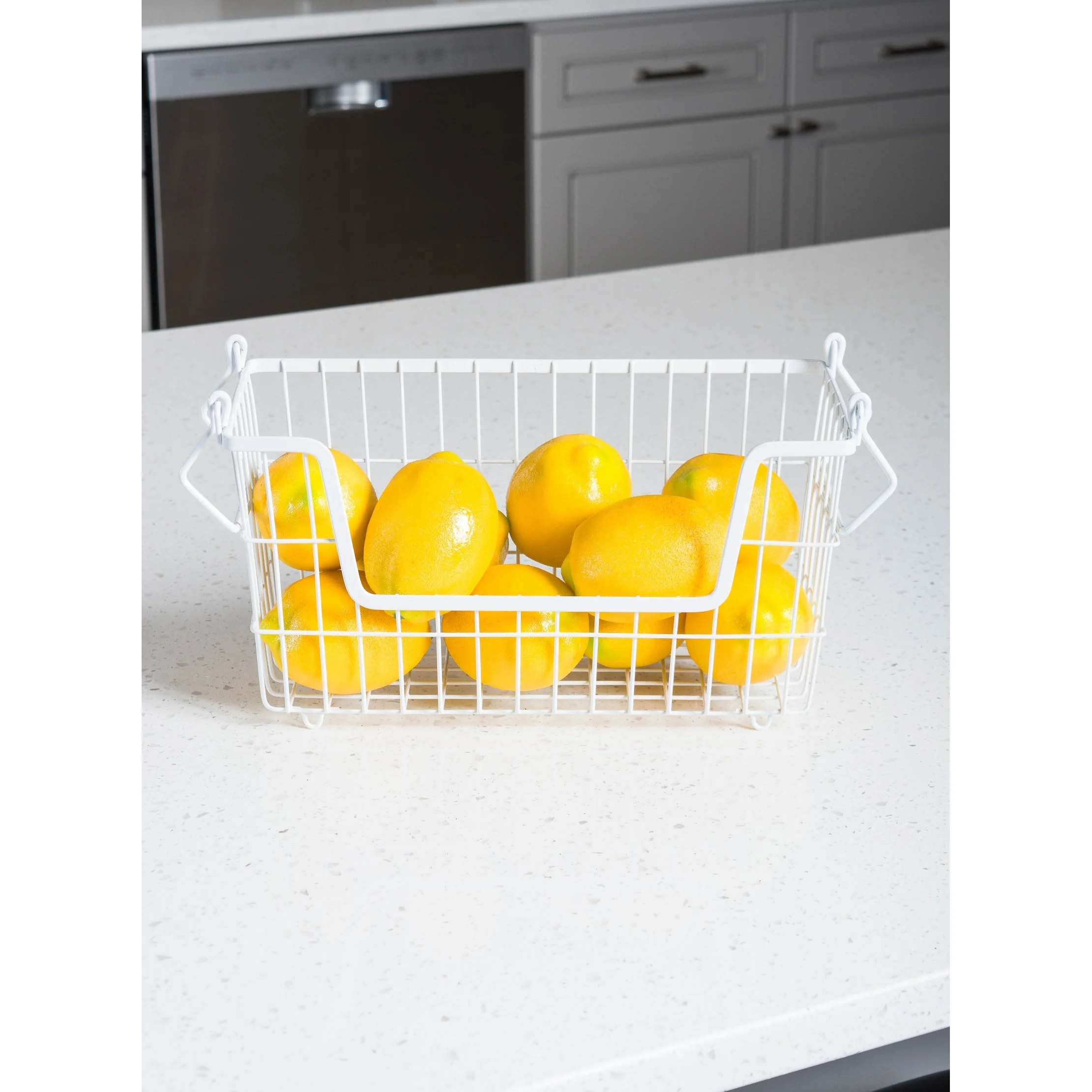 DII Metal Basket
