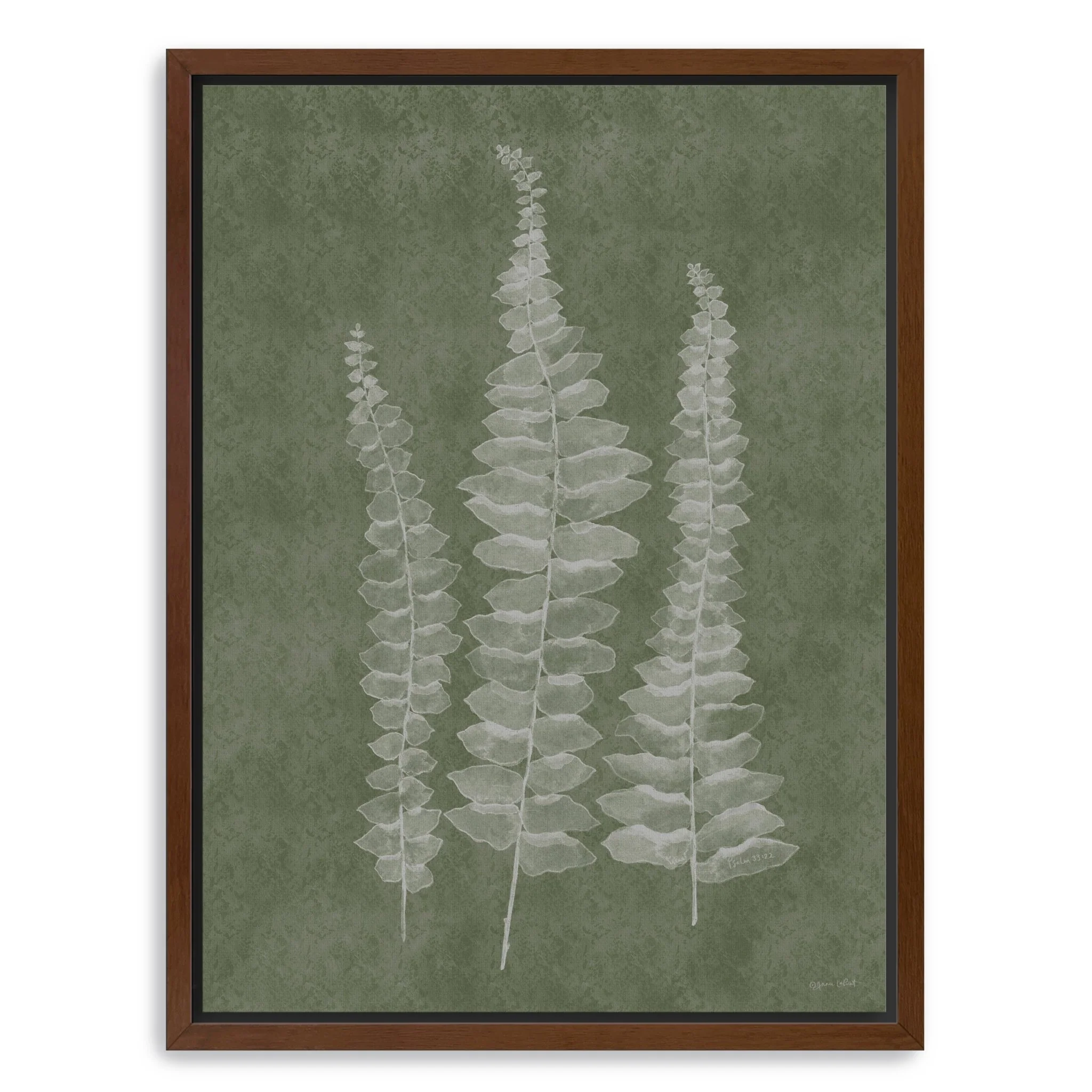 Woodland Ferns I Canvas Giclee Wall Art