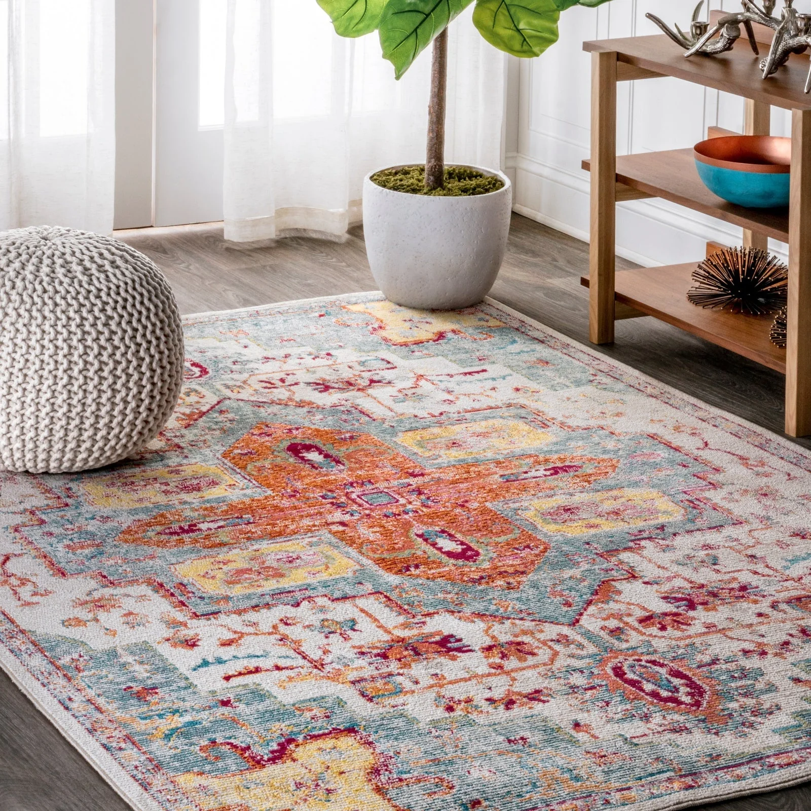 Zafra Vintage Medallion Coral Area Rug