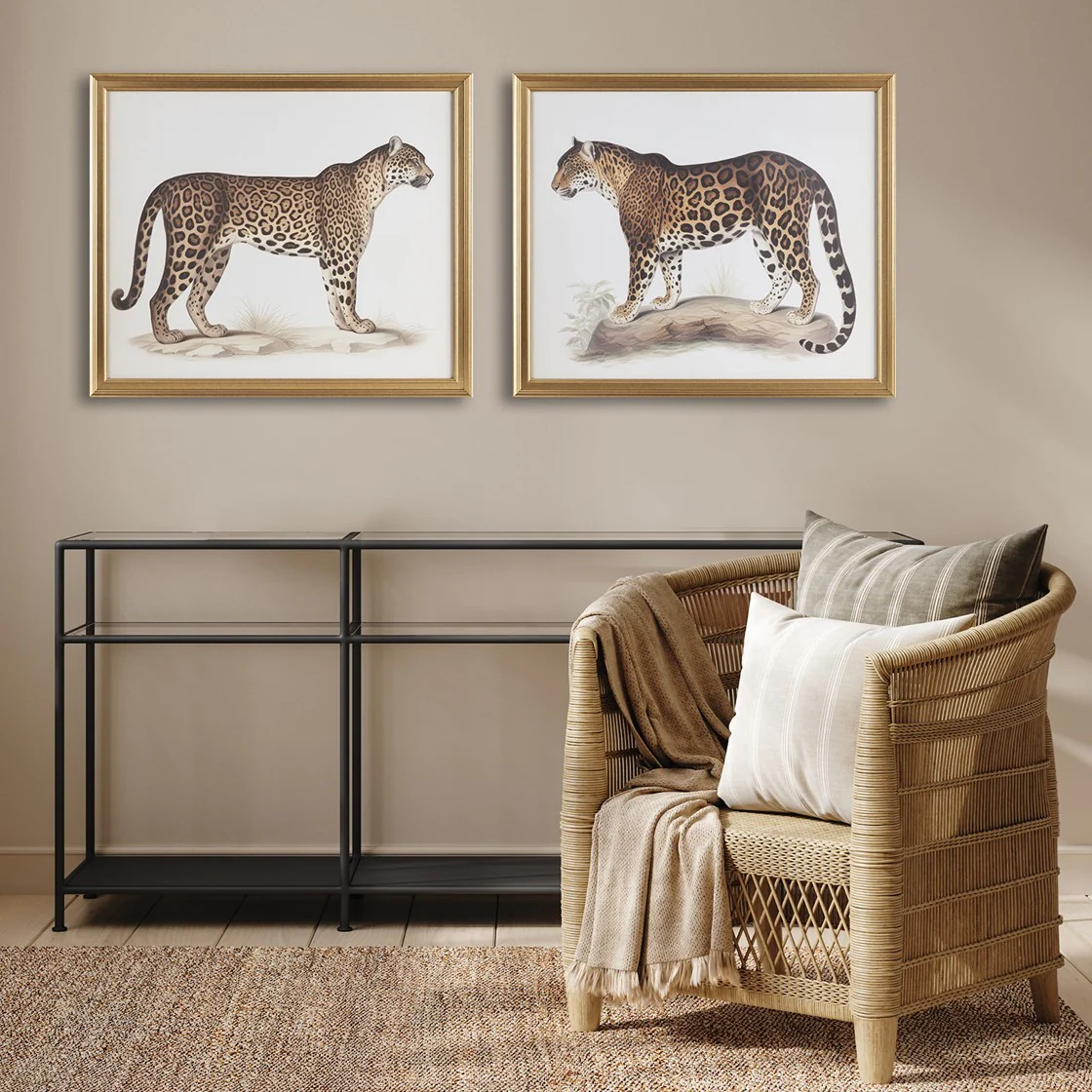 Cheetah Framed Graphic Wall Decor, Set of 2