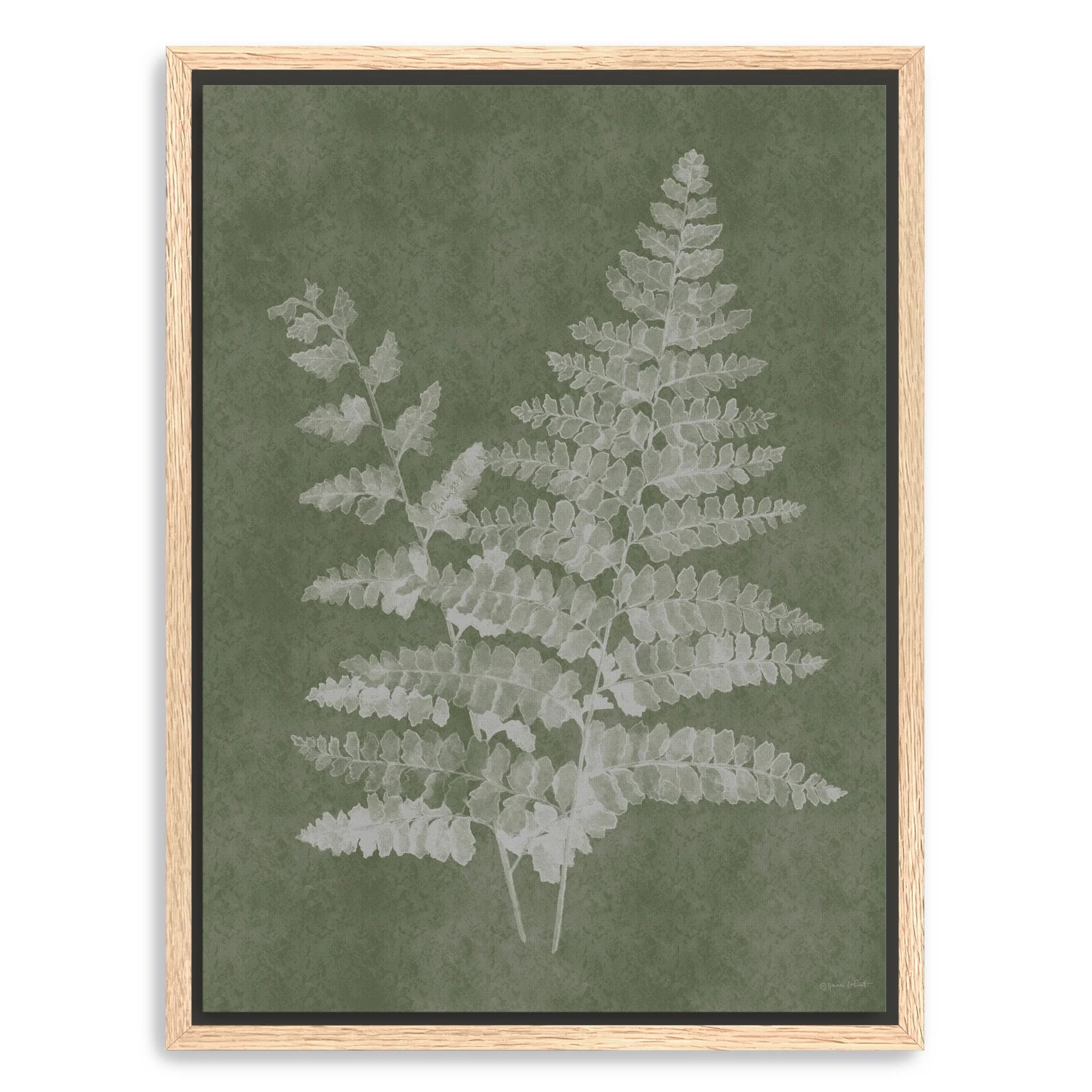 Woodland Ferns II Canvas Giclee Wall Art