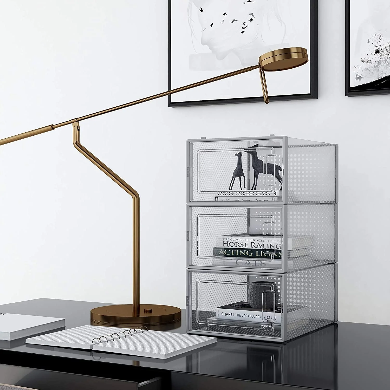 12 Pack Stackable Shoe Storage Box