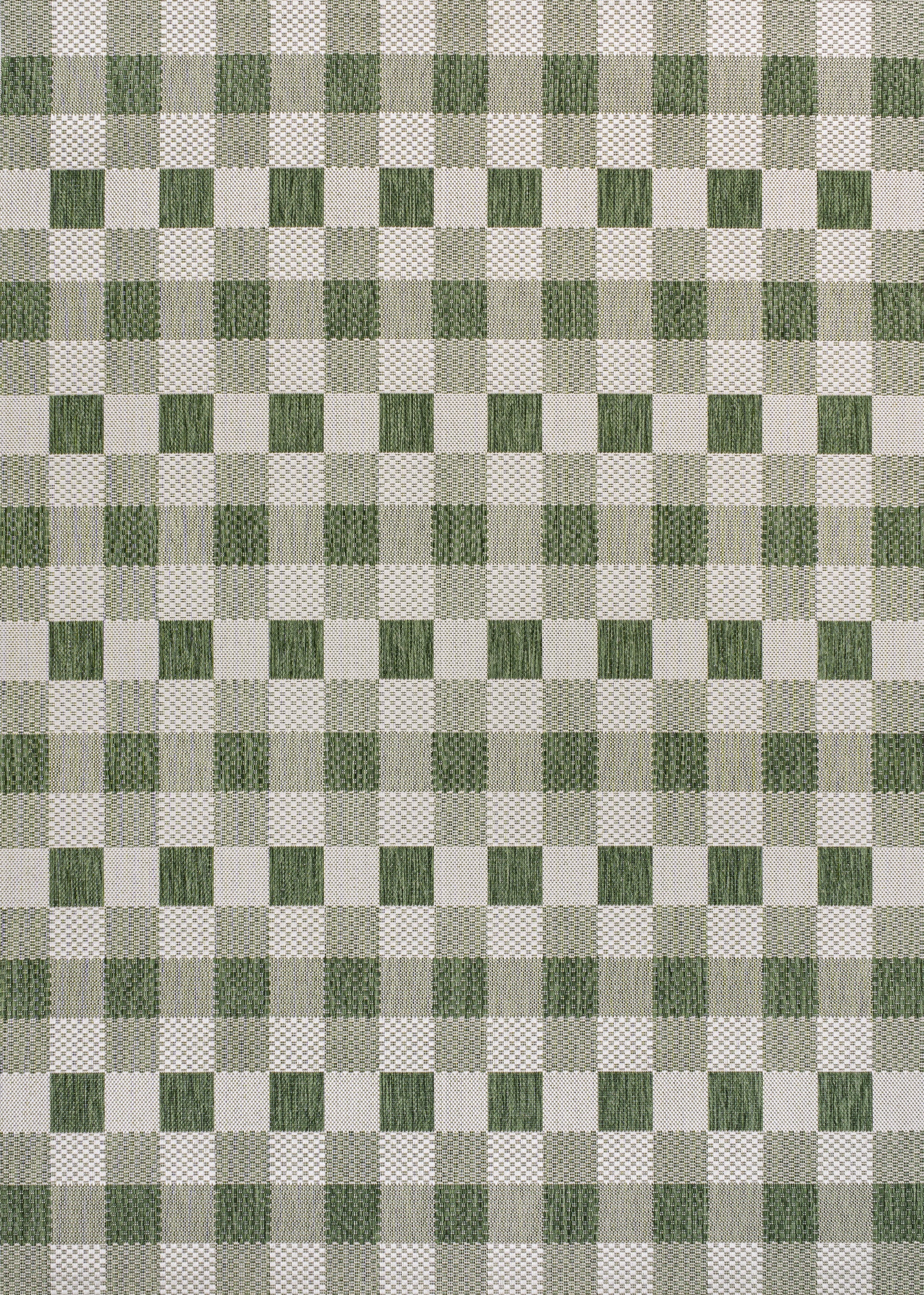 Darcy Gingham Indoor/Outdoor Area Rug
